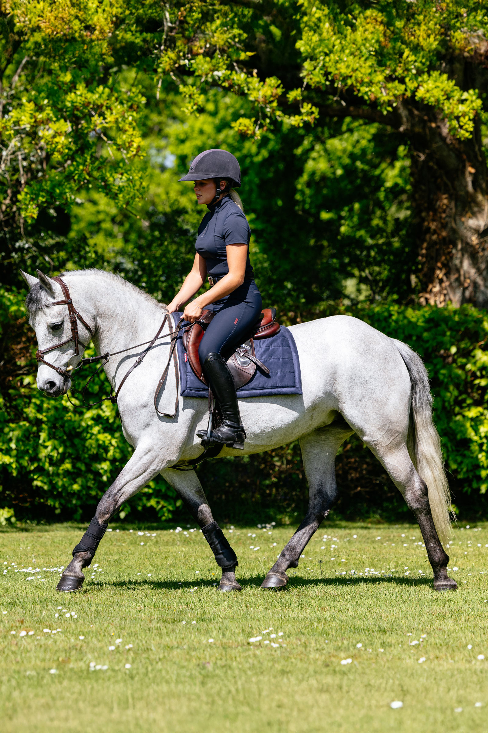 LeMieux Pillow vattert allroundsjabrak