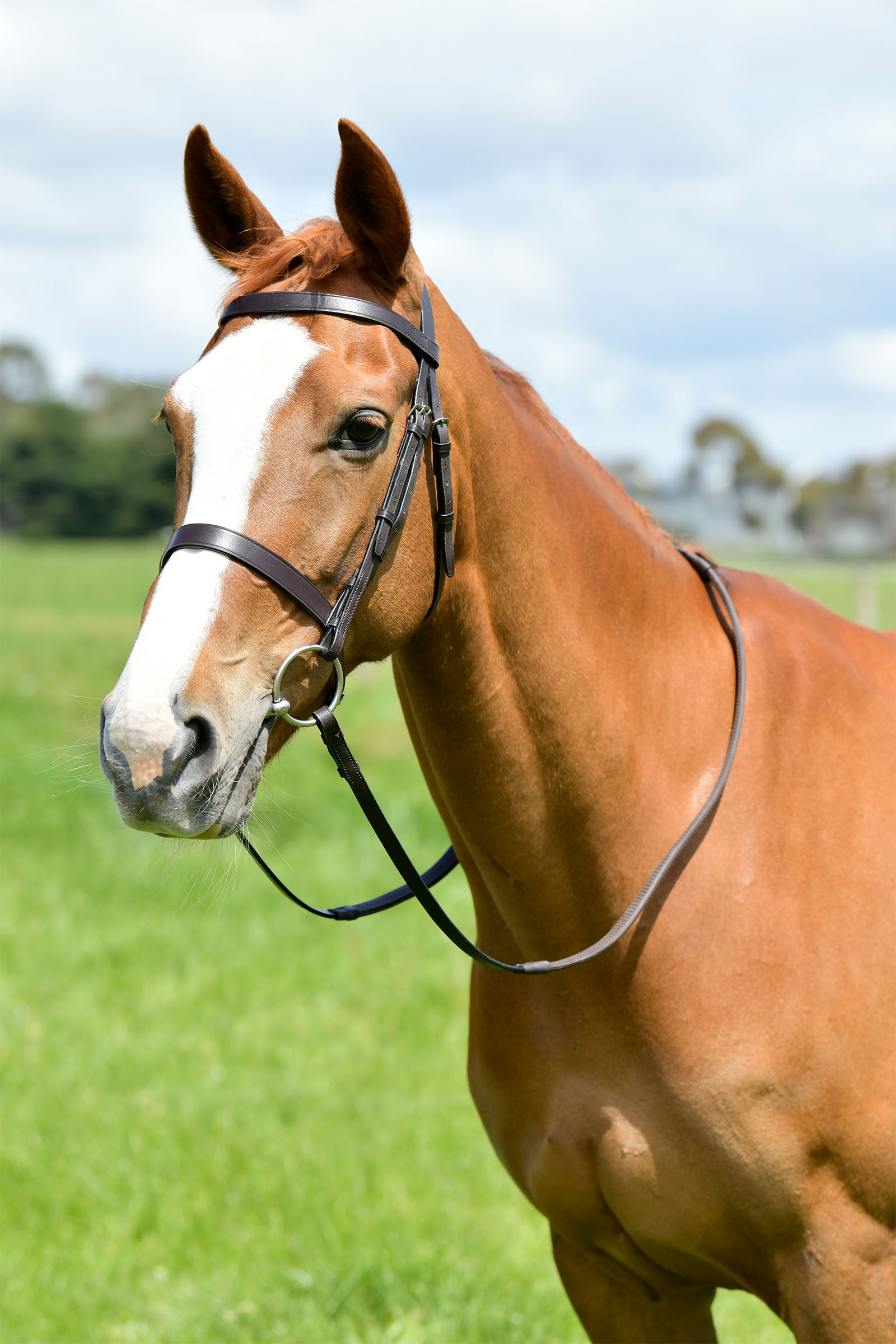 Kincade Classic flat jakttrense med t&oslash;yler