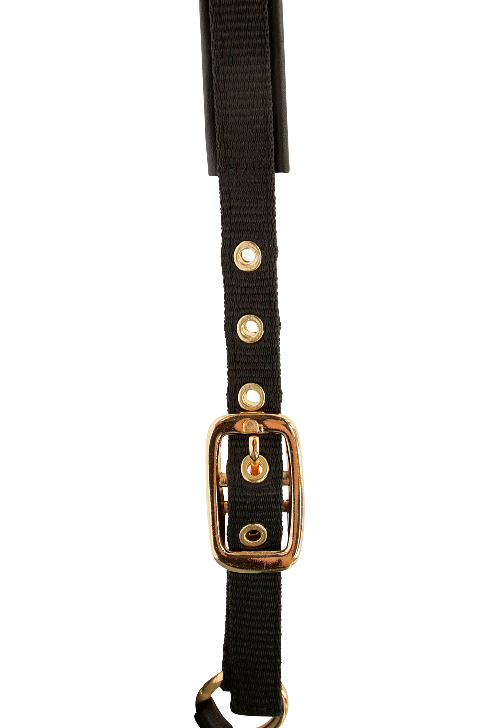 Covalliero TopLine føllgrime