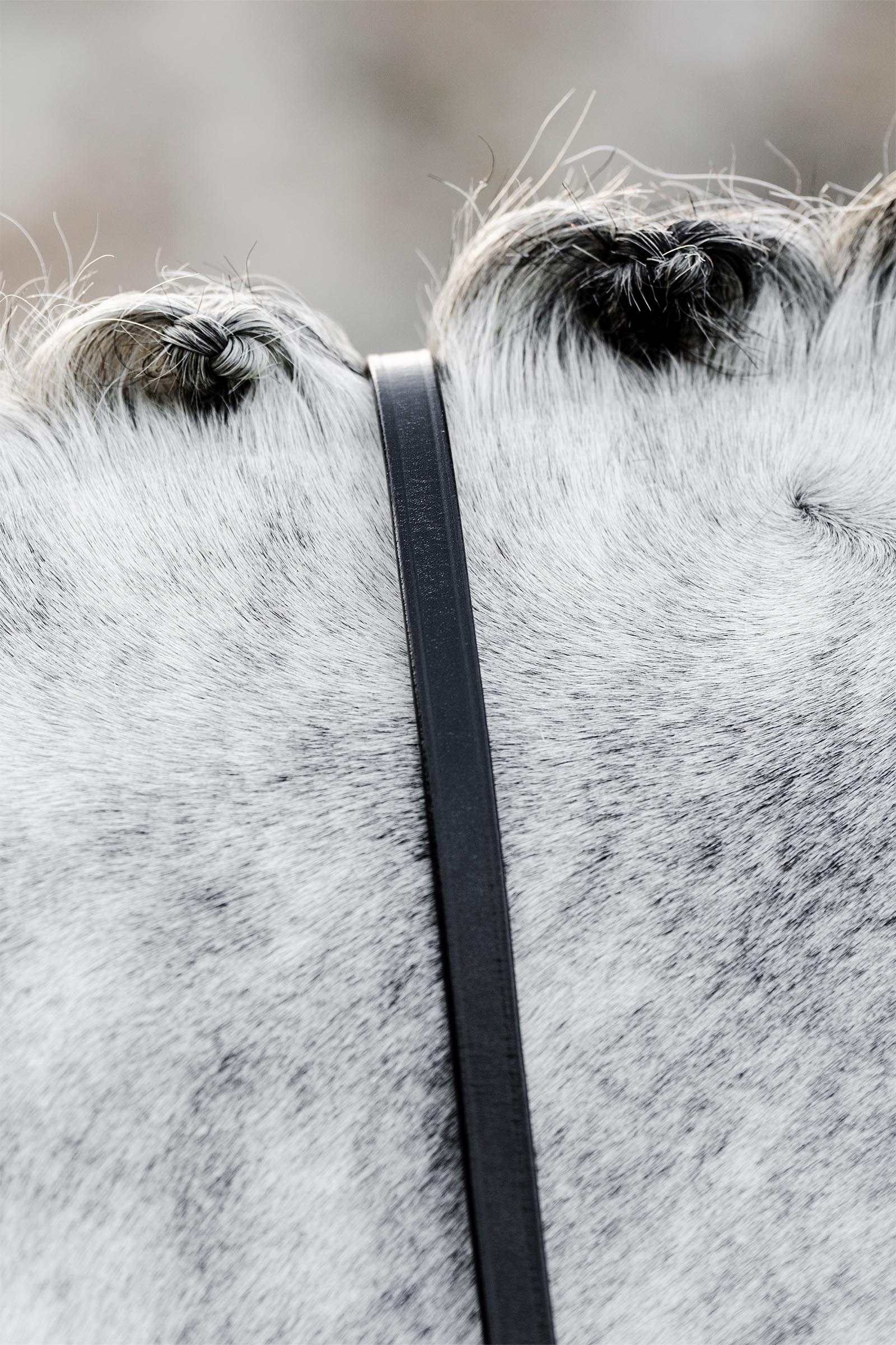 Horseware kandart&oslash;yler