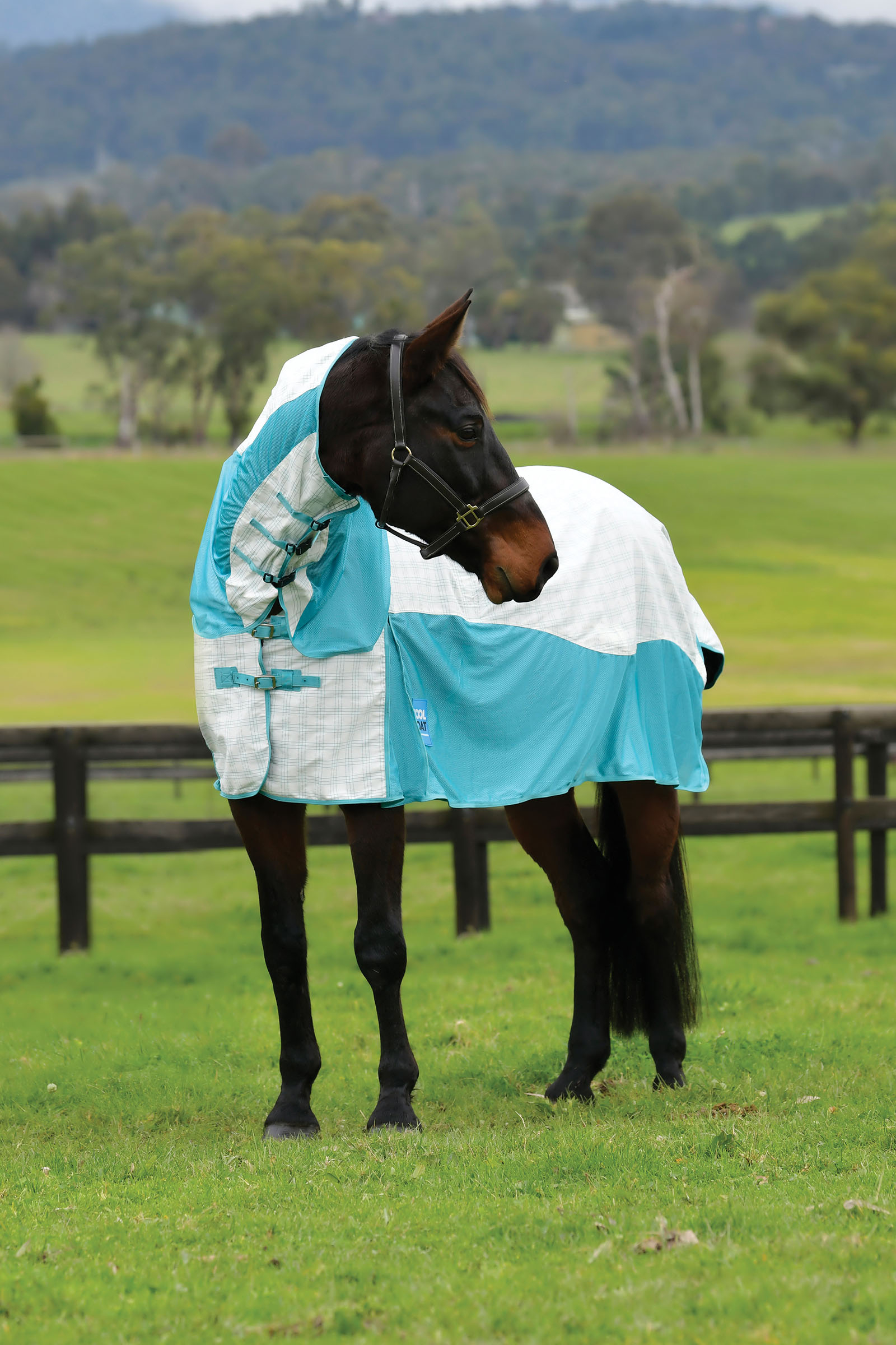 Weatherbeeta Kool Coat Bomull Airstream Ii Detach-A-Neck