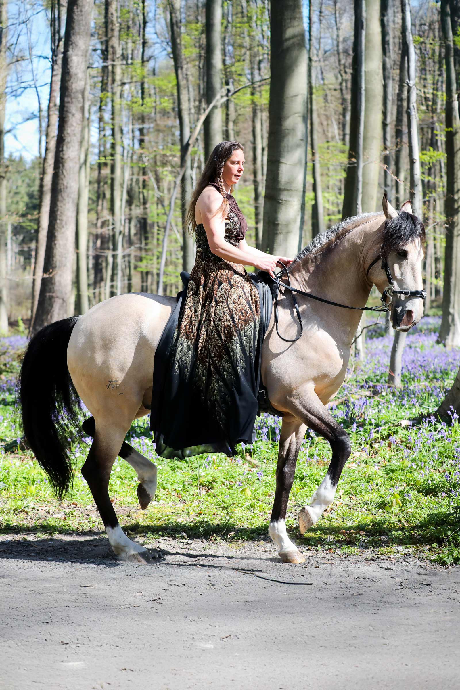 F.R.A. Freedom Riding Articles Imperial hodelag hackamore med tøyler (system 2)