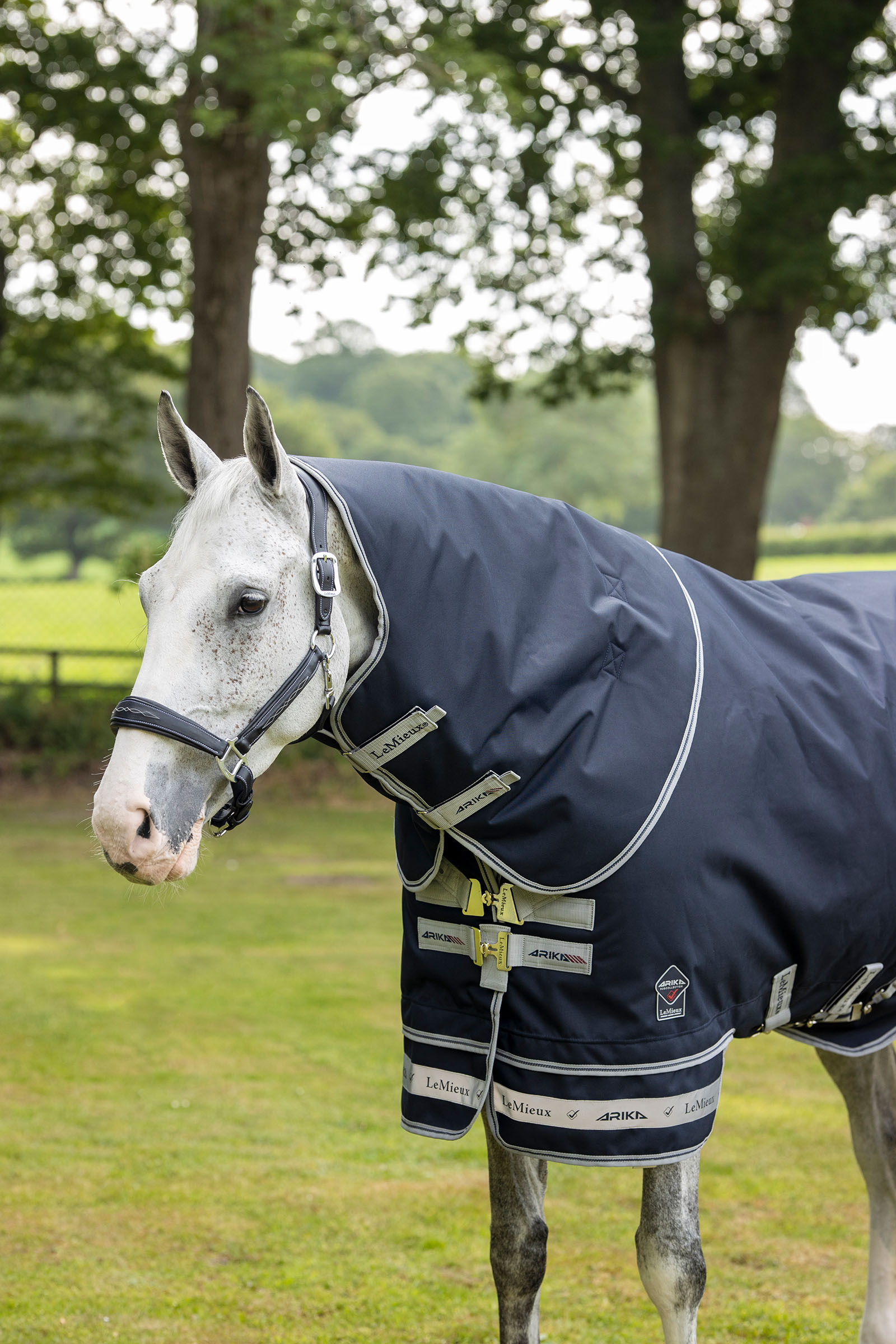 LeMieux Arika fjærlett dekken 0g