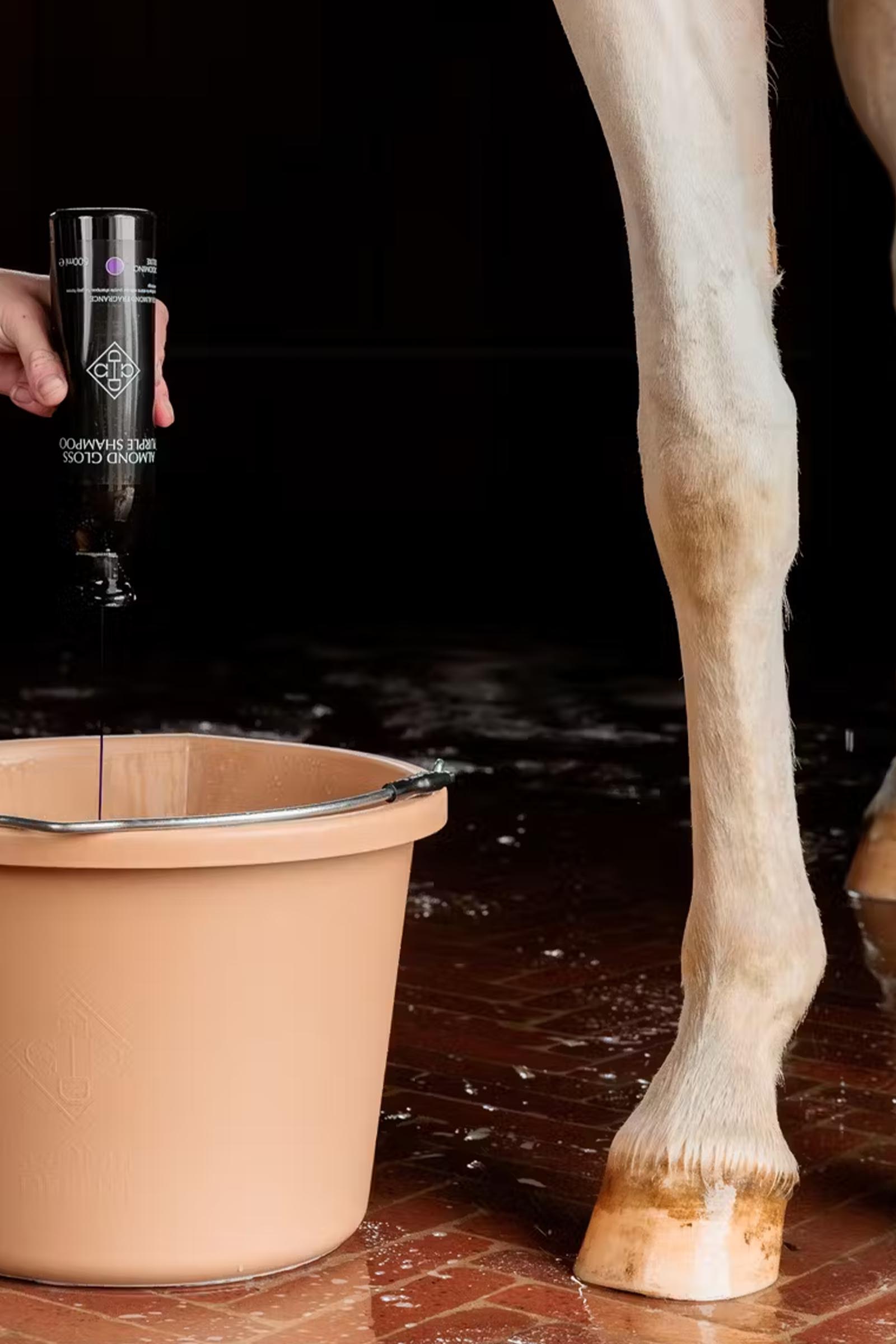 Grooming Deluxe Mandel gloss lilla sjampo, 500 ml