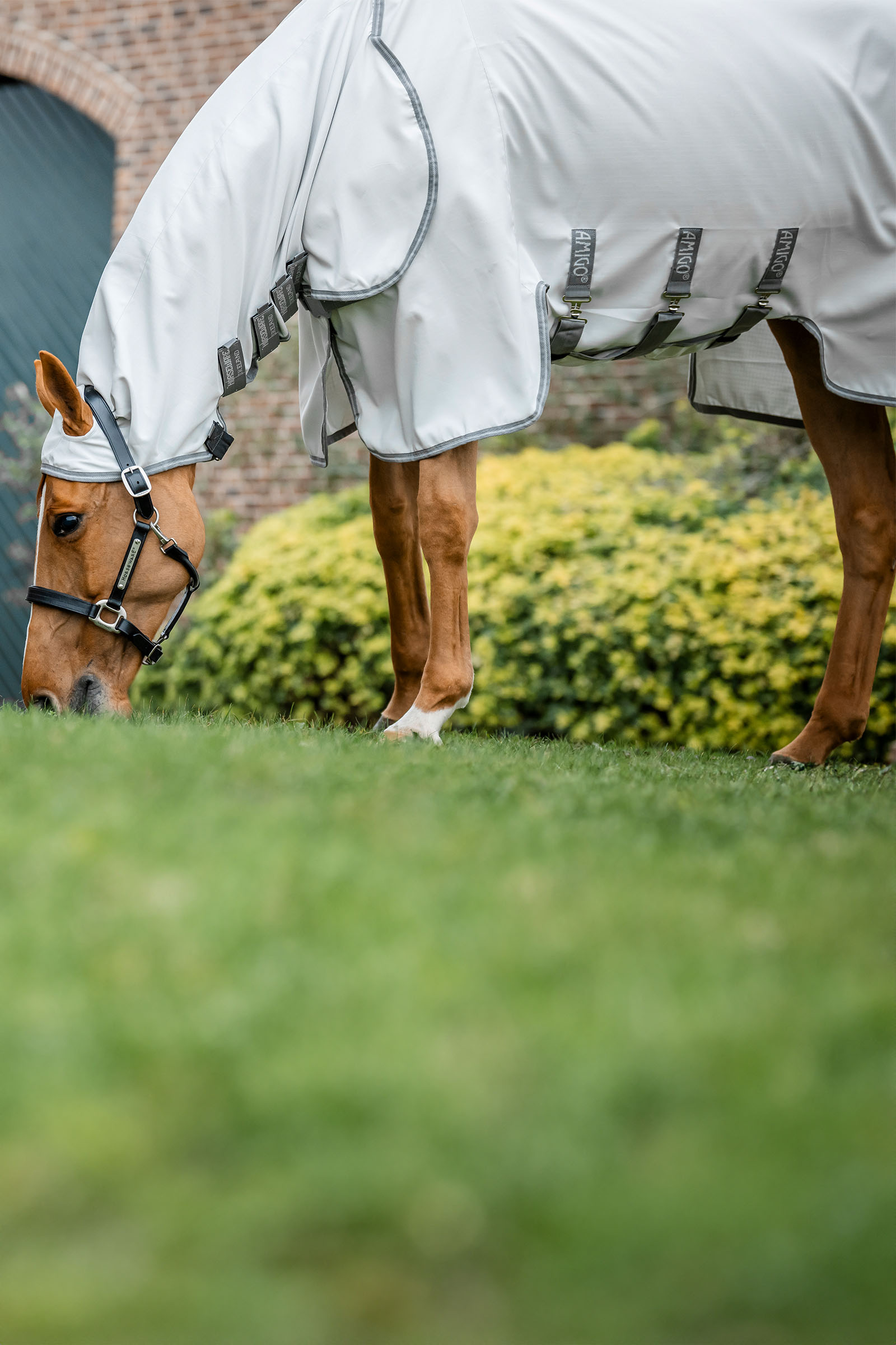 Horseware Amigo Ripstop Fluedekken