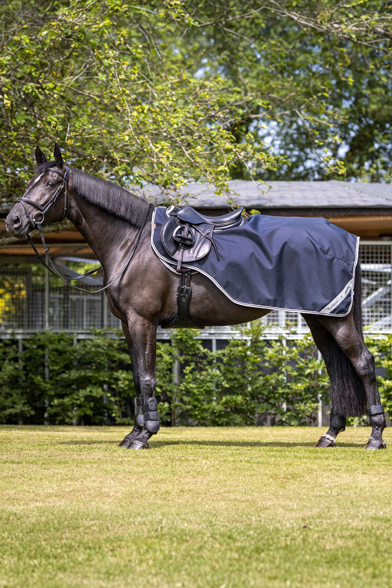 LeMieux Arika treningdekken