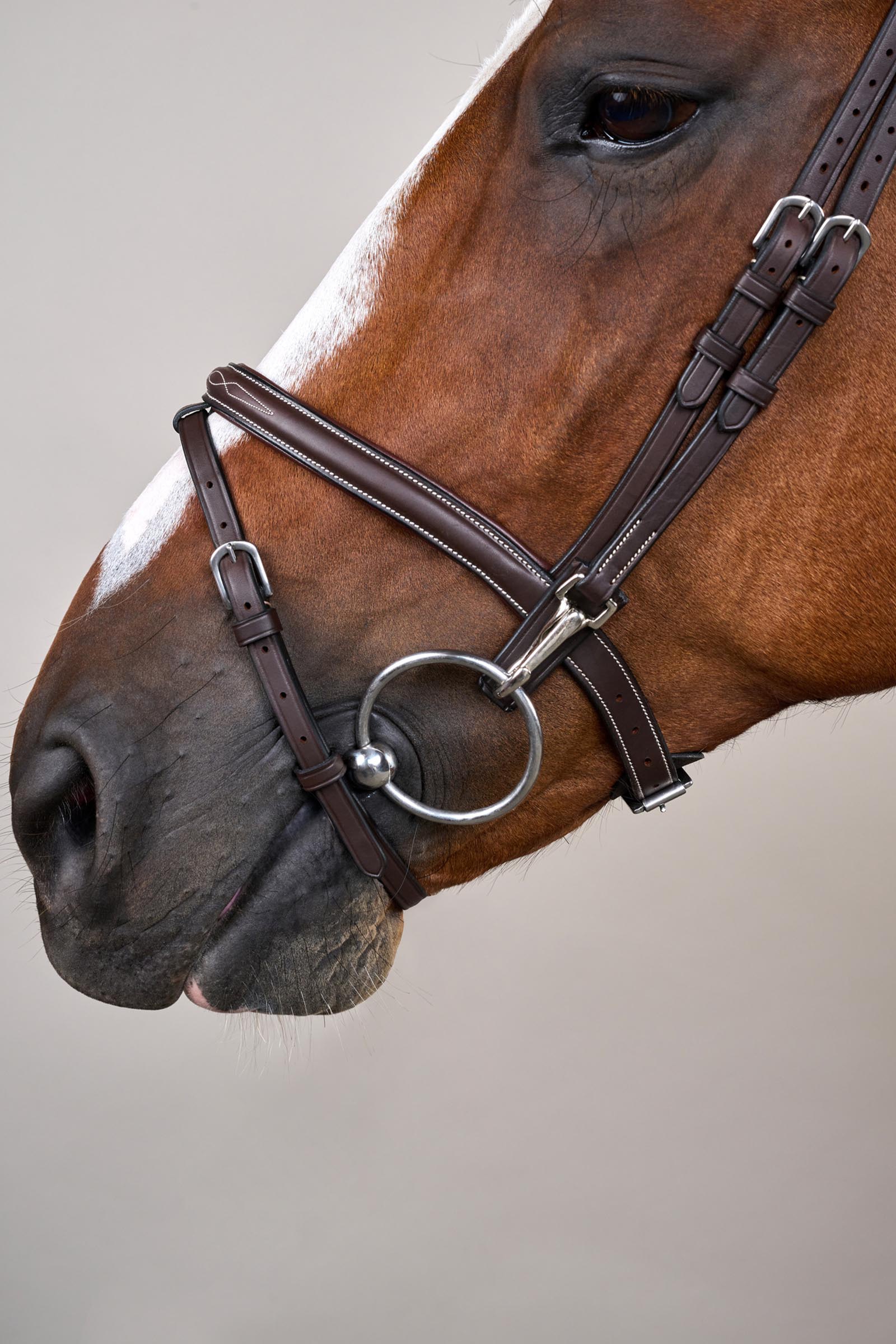 Dy'on Working hodelag med kombinert nesereim og karabinkroker  