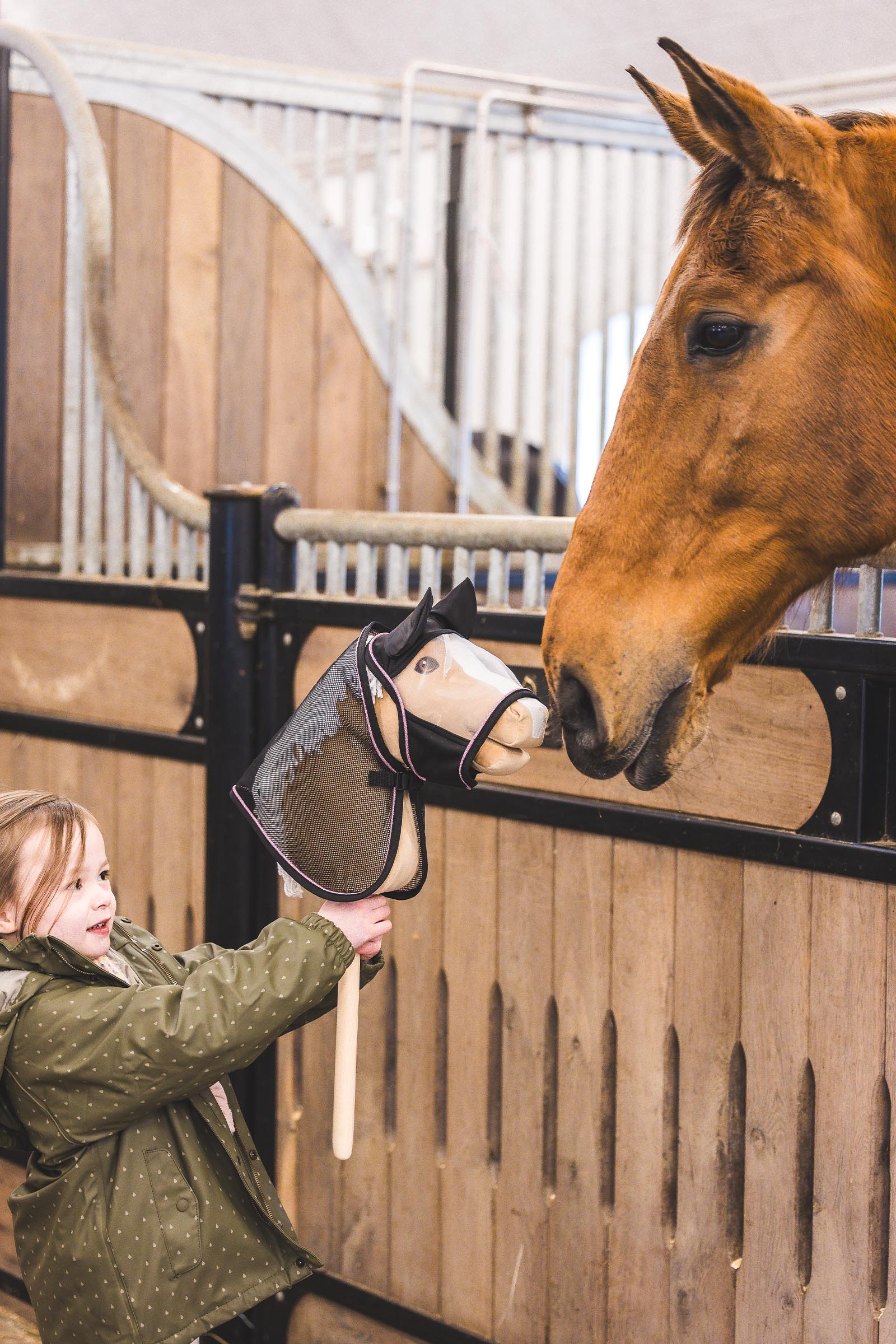 My Hobby Horse insekt fluedekken