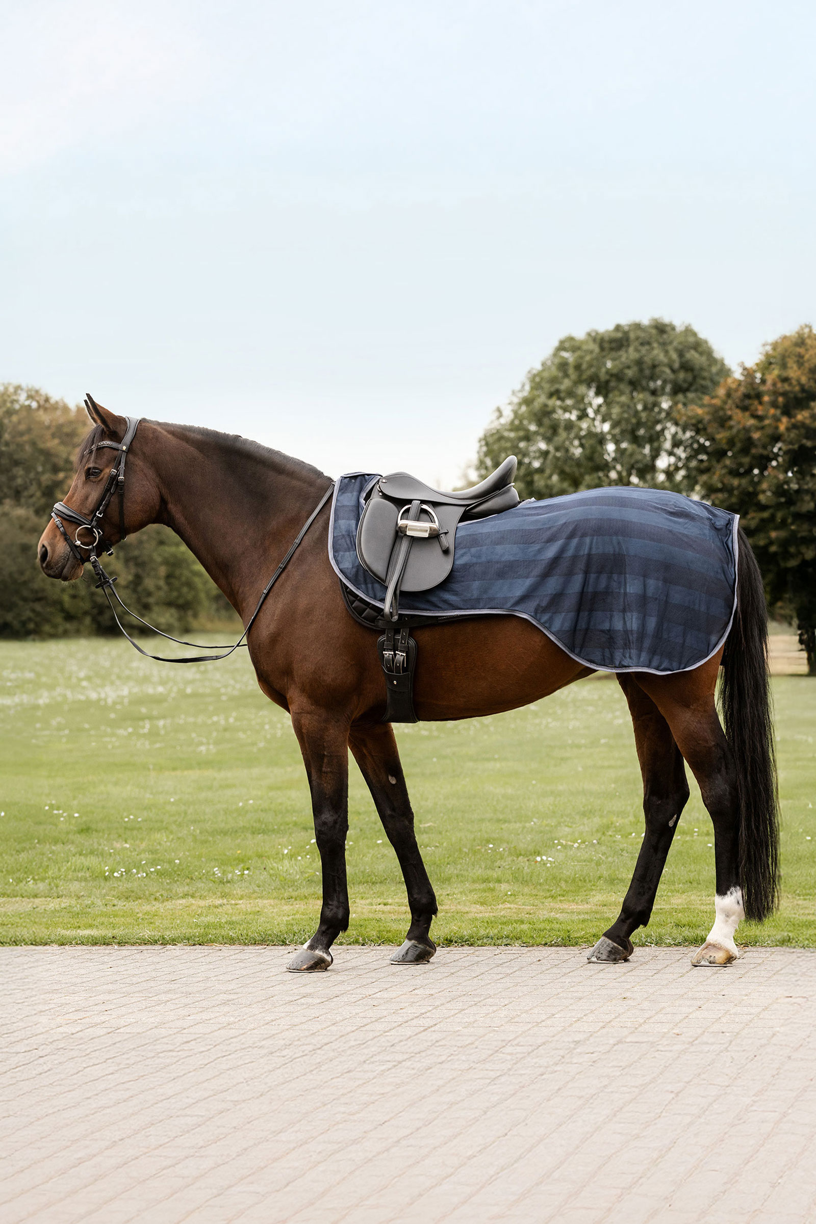 Night Blue Waldhausen Economic fluedekken for ridning