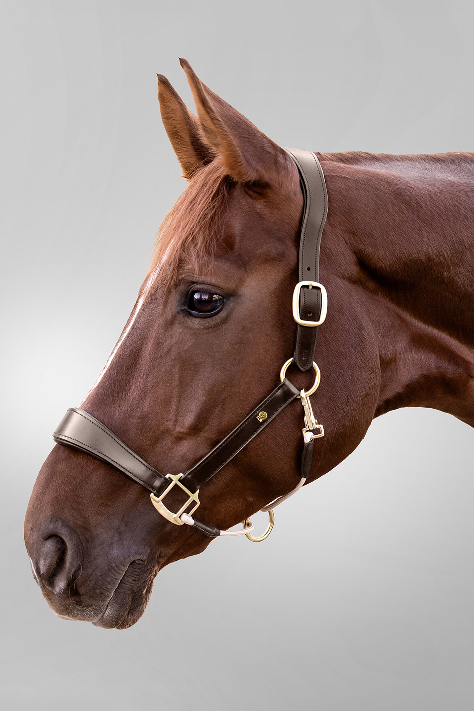 Royal Waldhausen S-Line l&aelig;rgrime