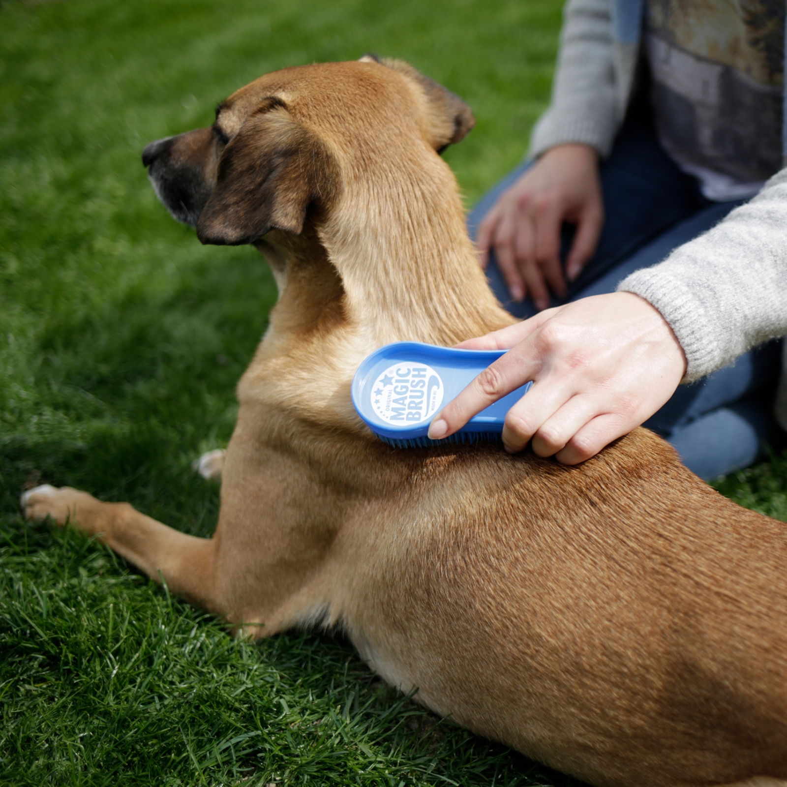 Kerbl Magic Brush, hund