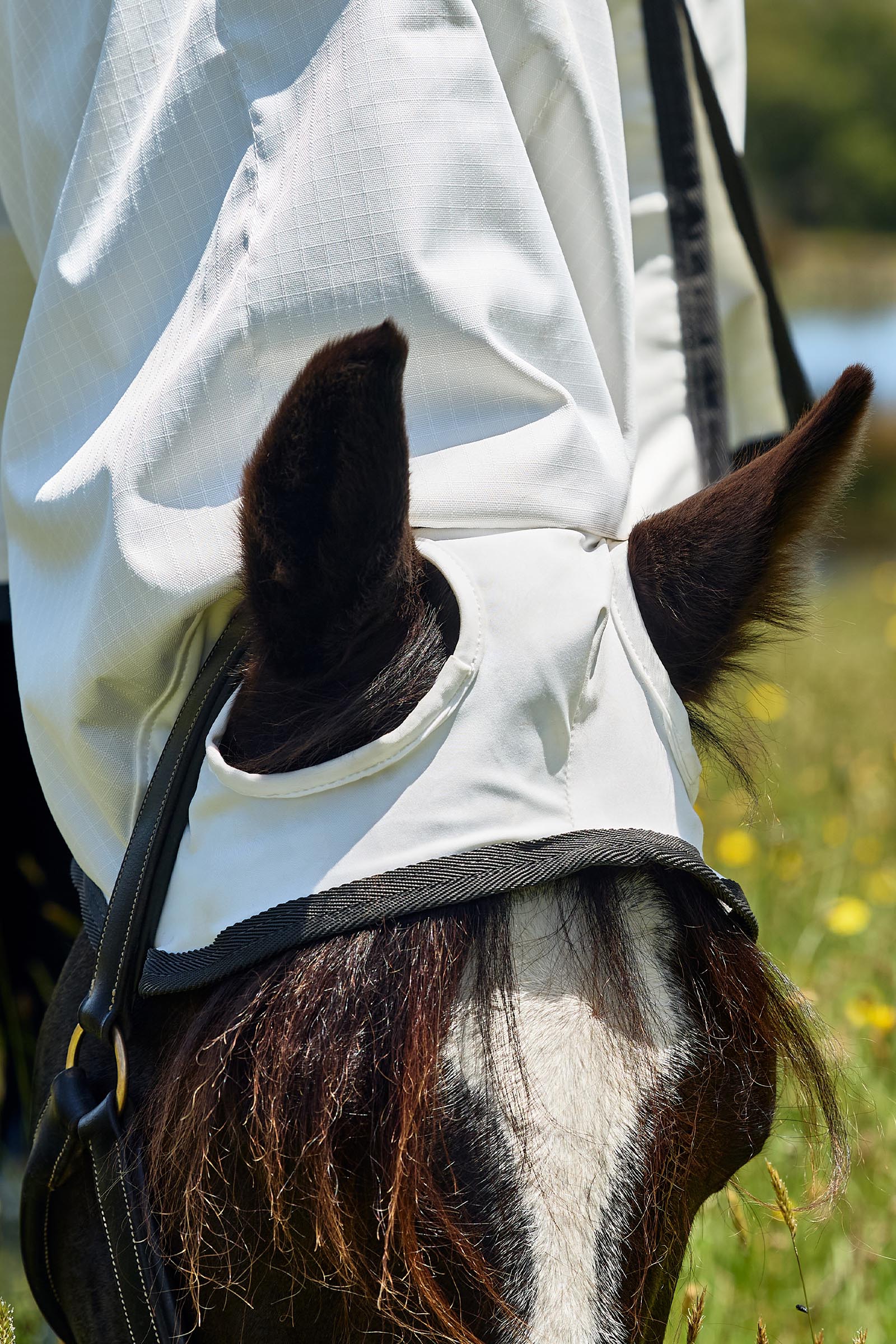 Weatherbeeta ComFiTec Sweet Itch Shield Fluedekken kombi med fast hals, 0 g  