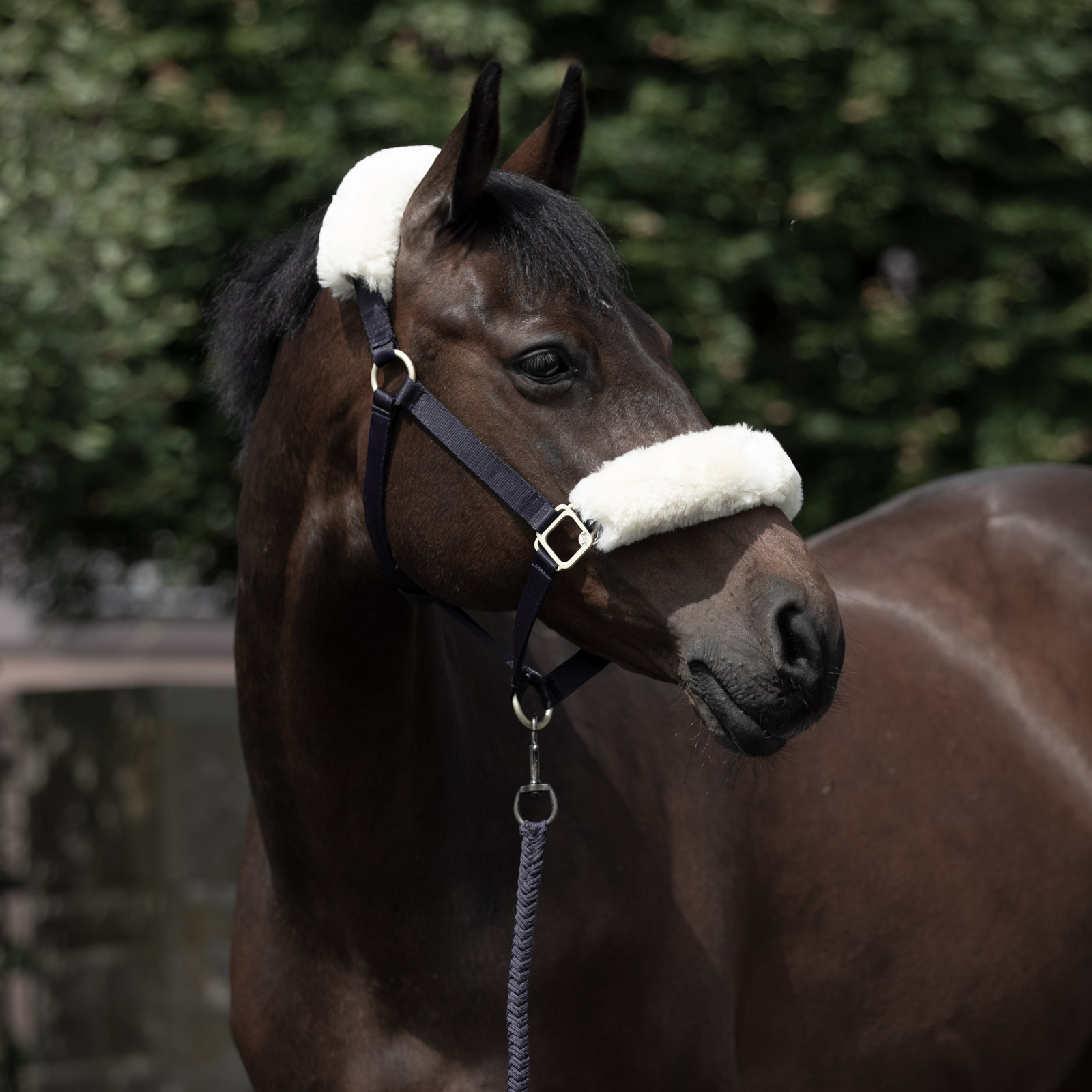 B Vertigo Laurier grime med saueskinn