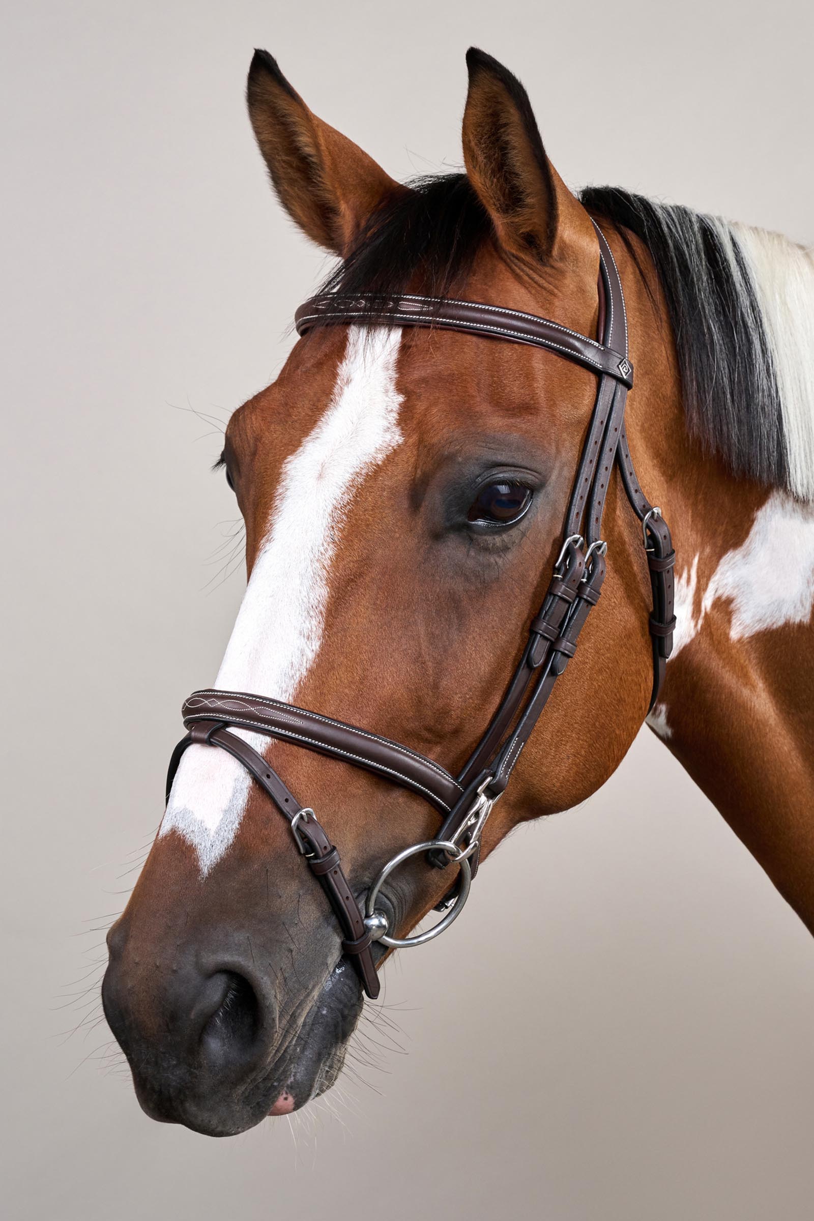 Dy'on Working hodelag med kombinert nesereim og karabinkroker  
