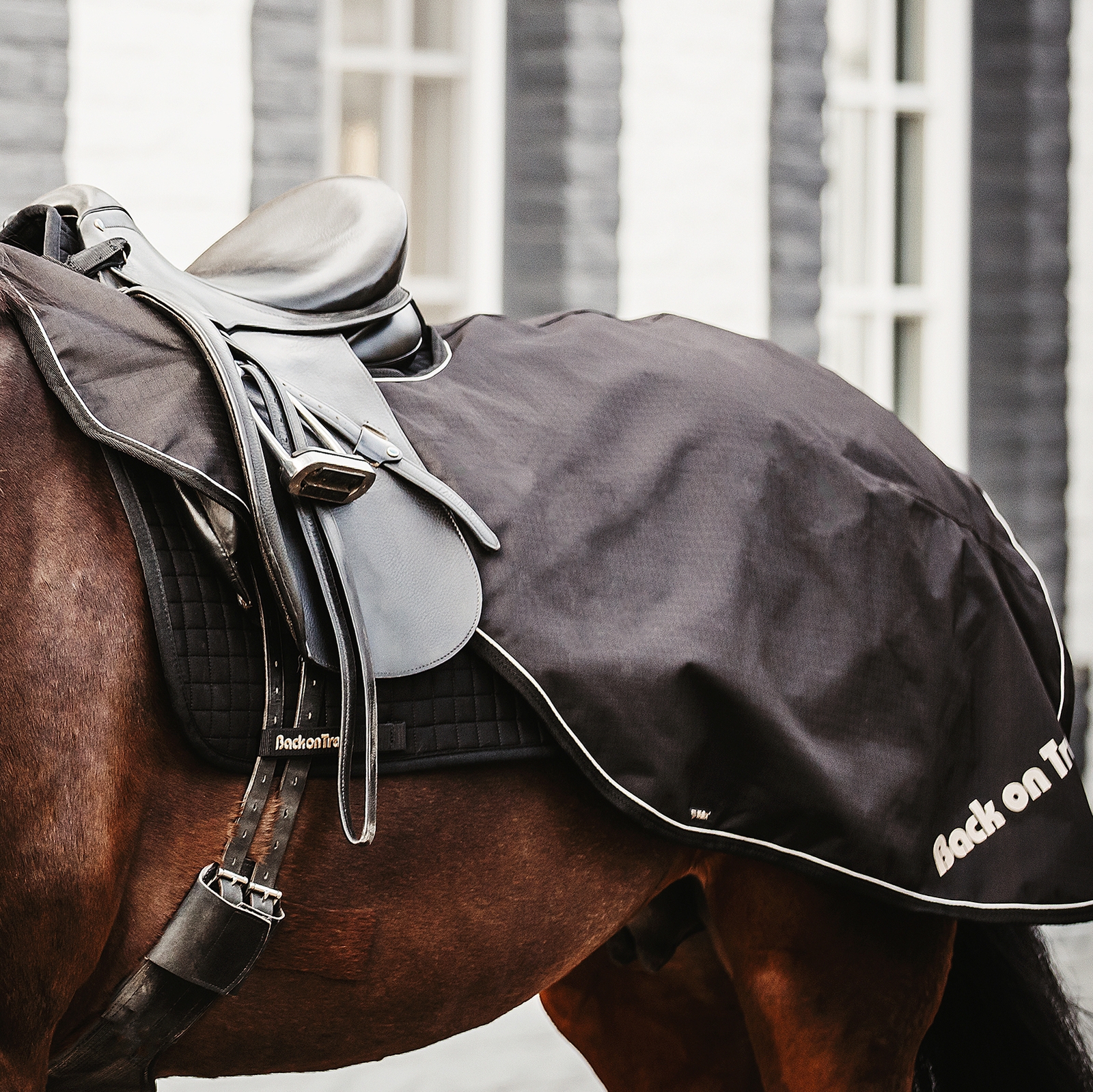 Back on Track Sammy lendedekken, 50g