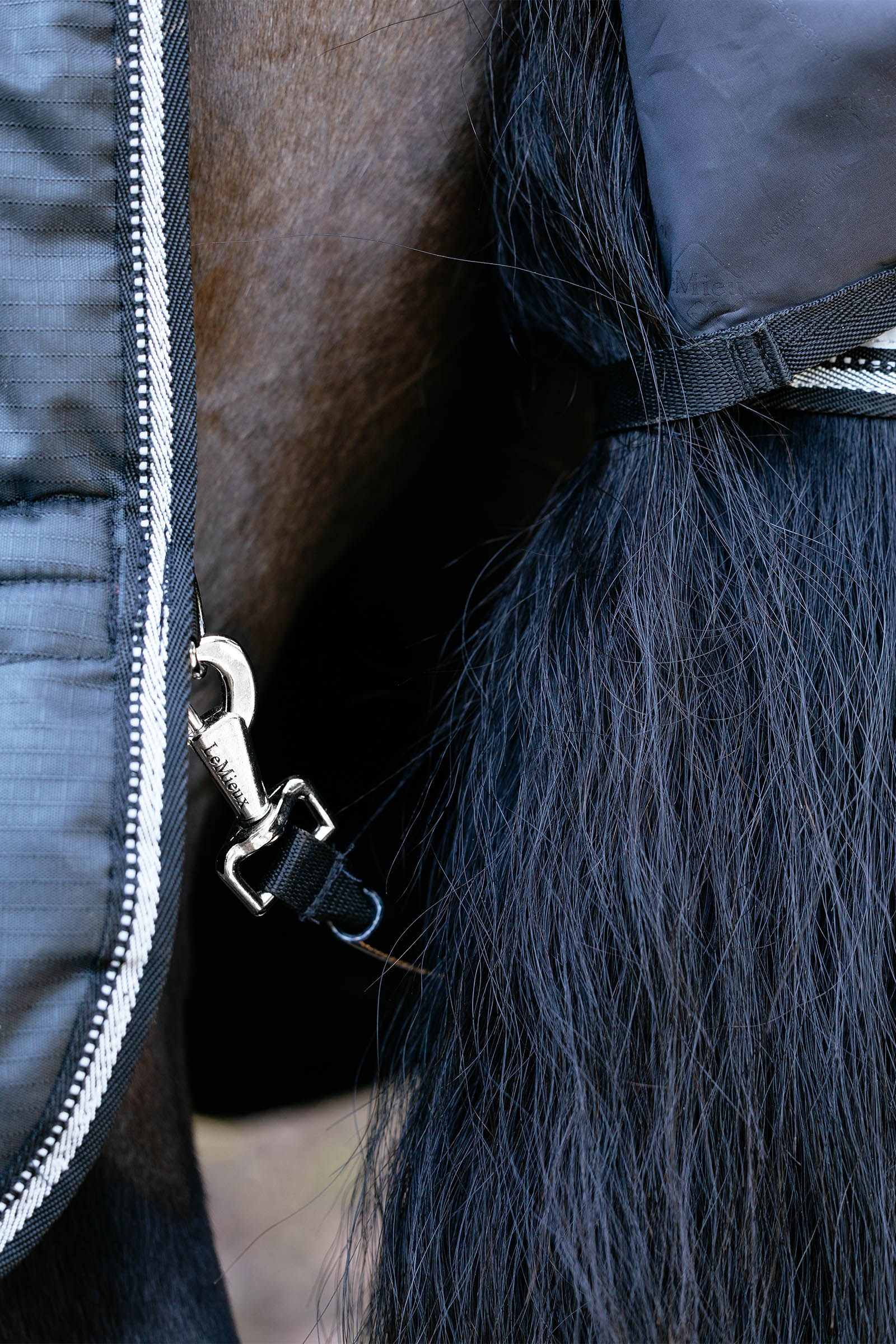 LeMieux Arika Reflective Turnout Rug With Detachable Neck, 100 g