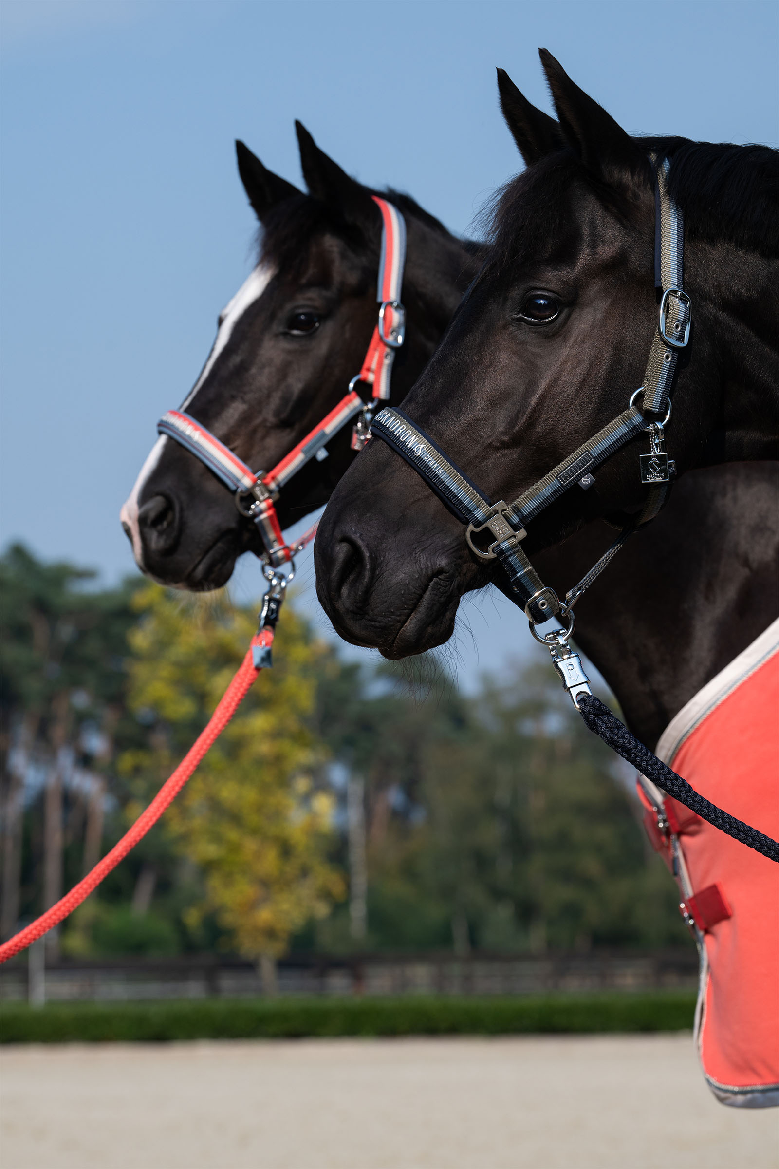 Eskadron Classic Sports SS25 Grime med dobbelt spenne