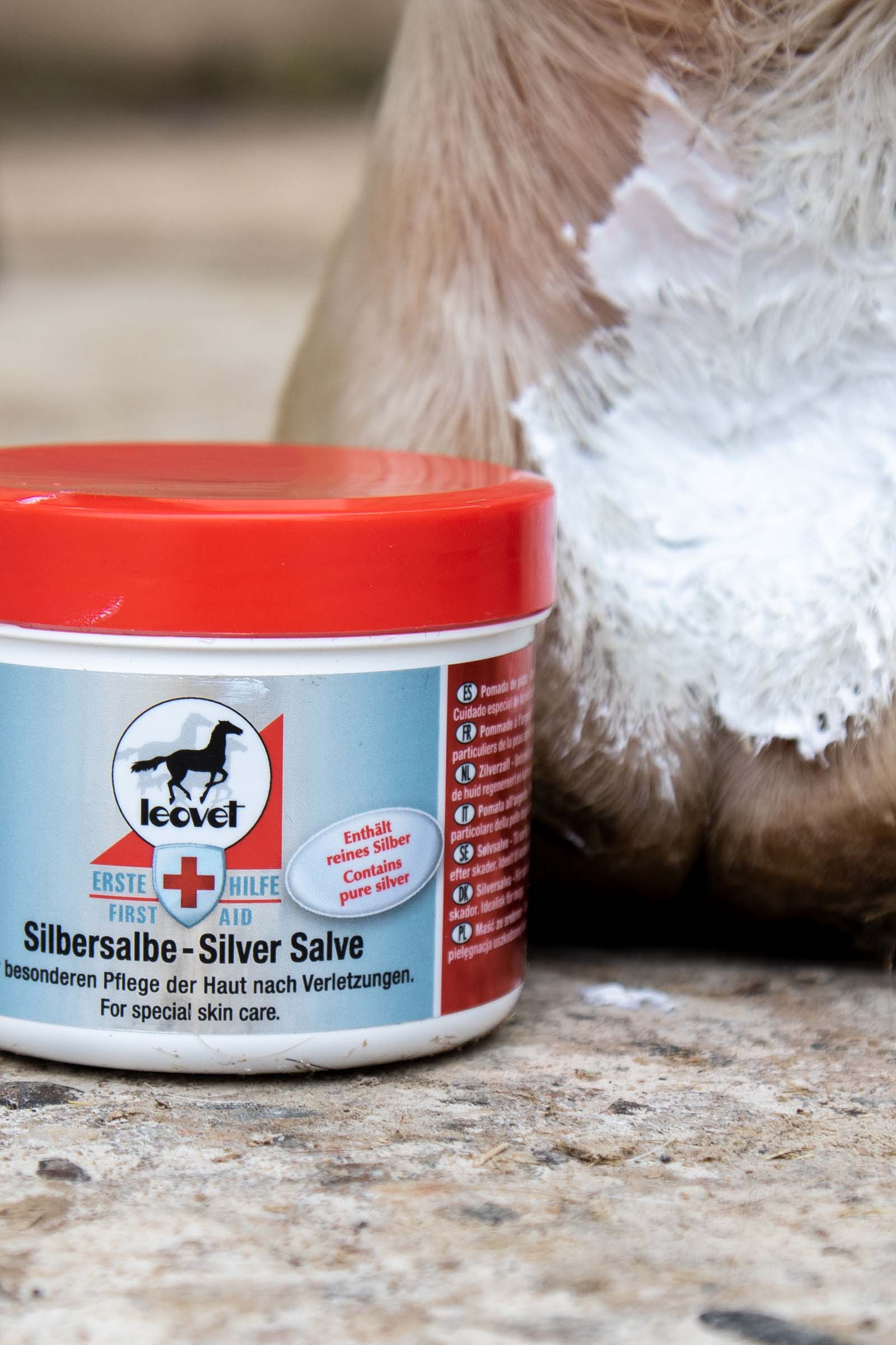 Leovet Silver salve