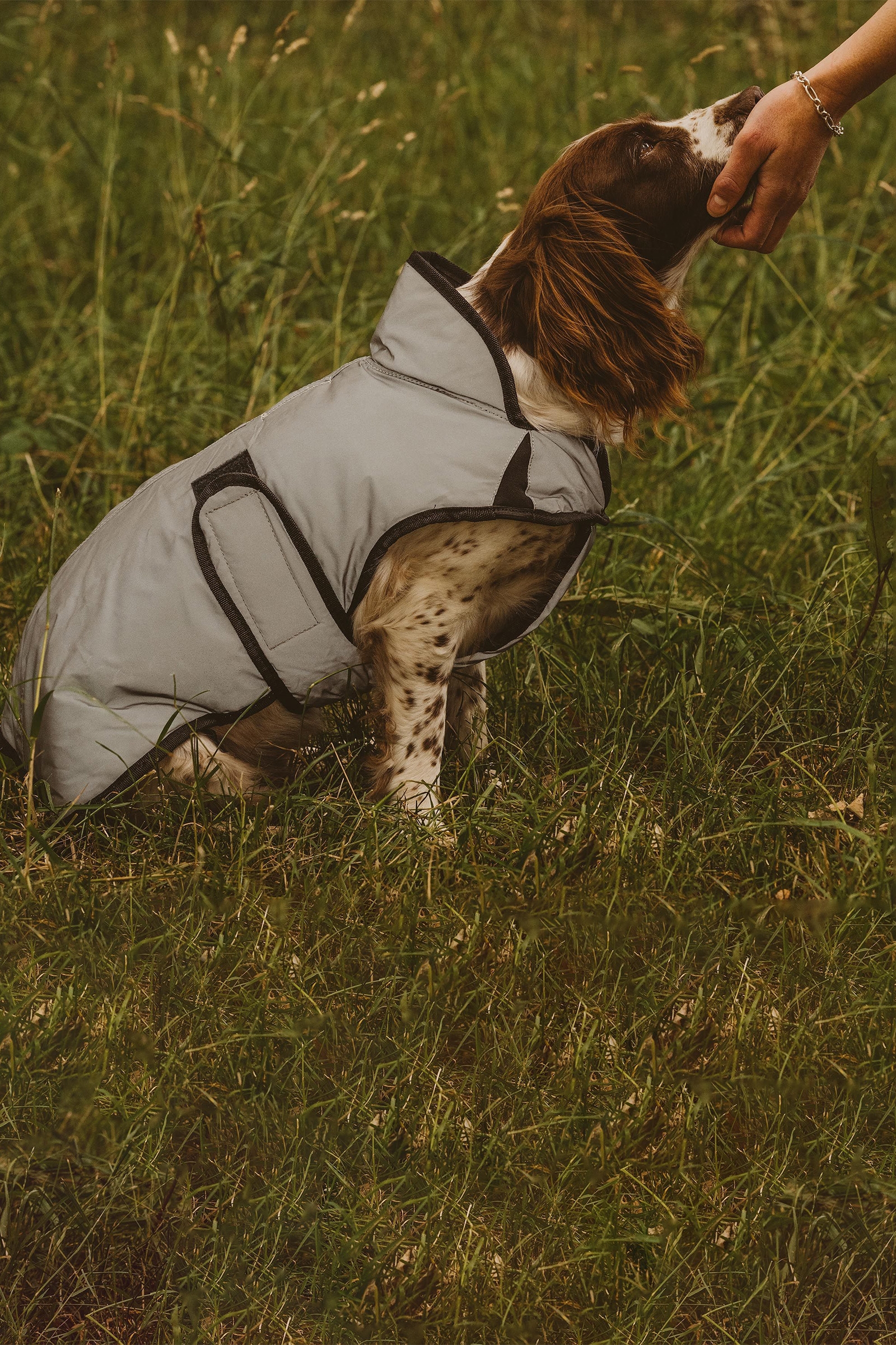 Weatherbeeta Comfitec Reflective Print Active Dog Coat
