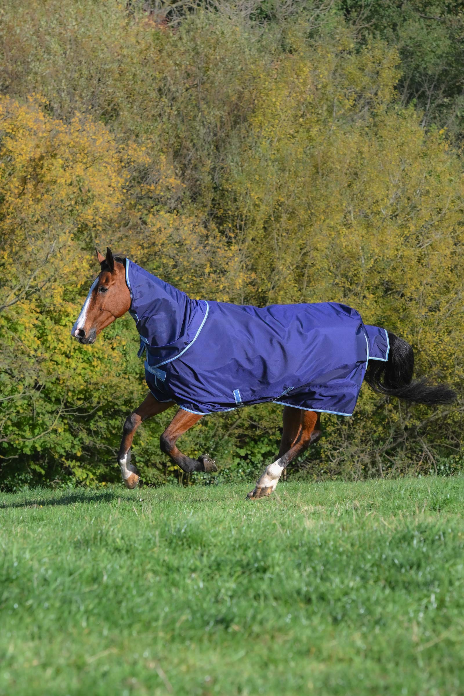 Bucas Atlantic Exclusive dekken- og halssett, 0 g