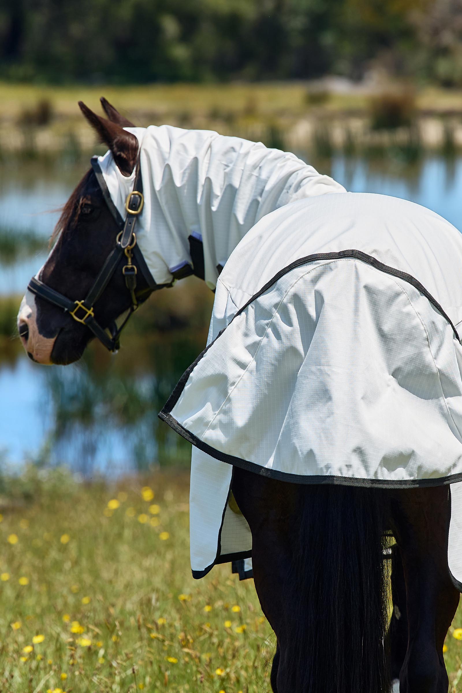 Weatherbeeta ComFiTec Sweet Itch Shield Fluedekken kombi med fast hals, 0 g  