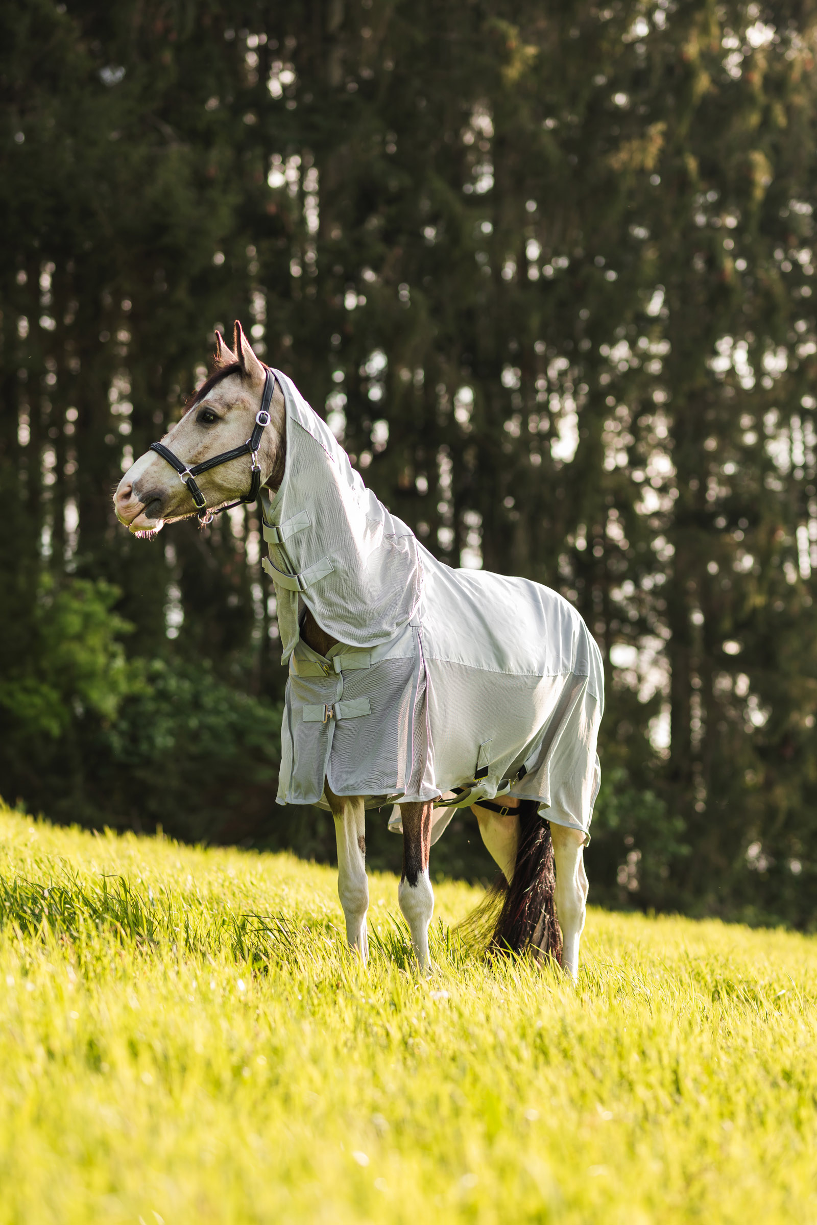 Horze Nevada Combo regn/fluedekken