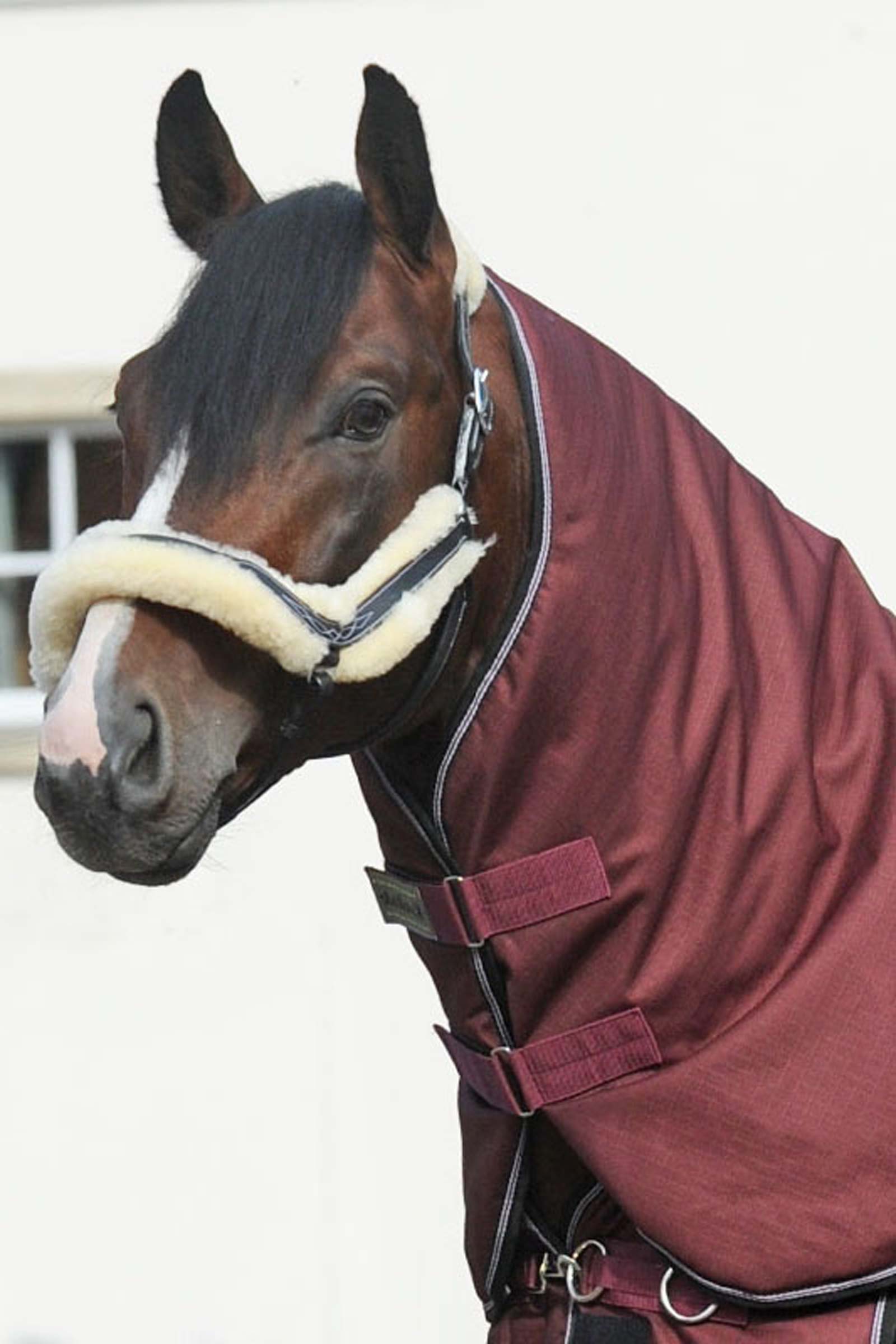 Dark Red Kavalkade hals for Alaska IV, 100 g