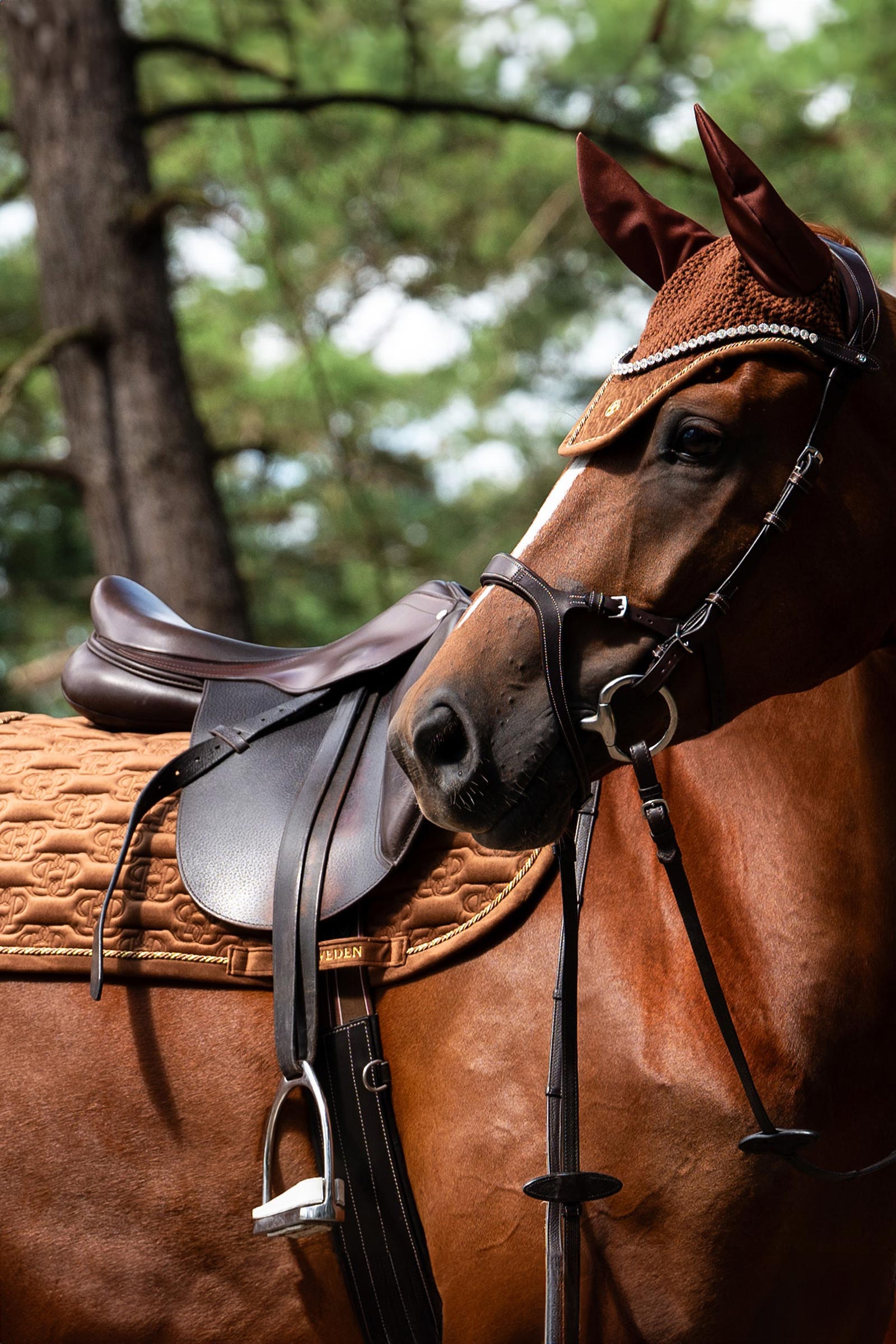 PS of Sweden sjabraker Velvet Monogram sprang