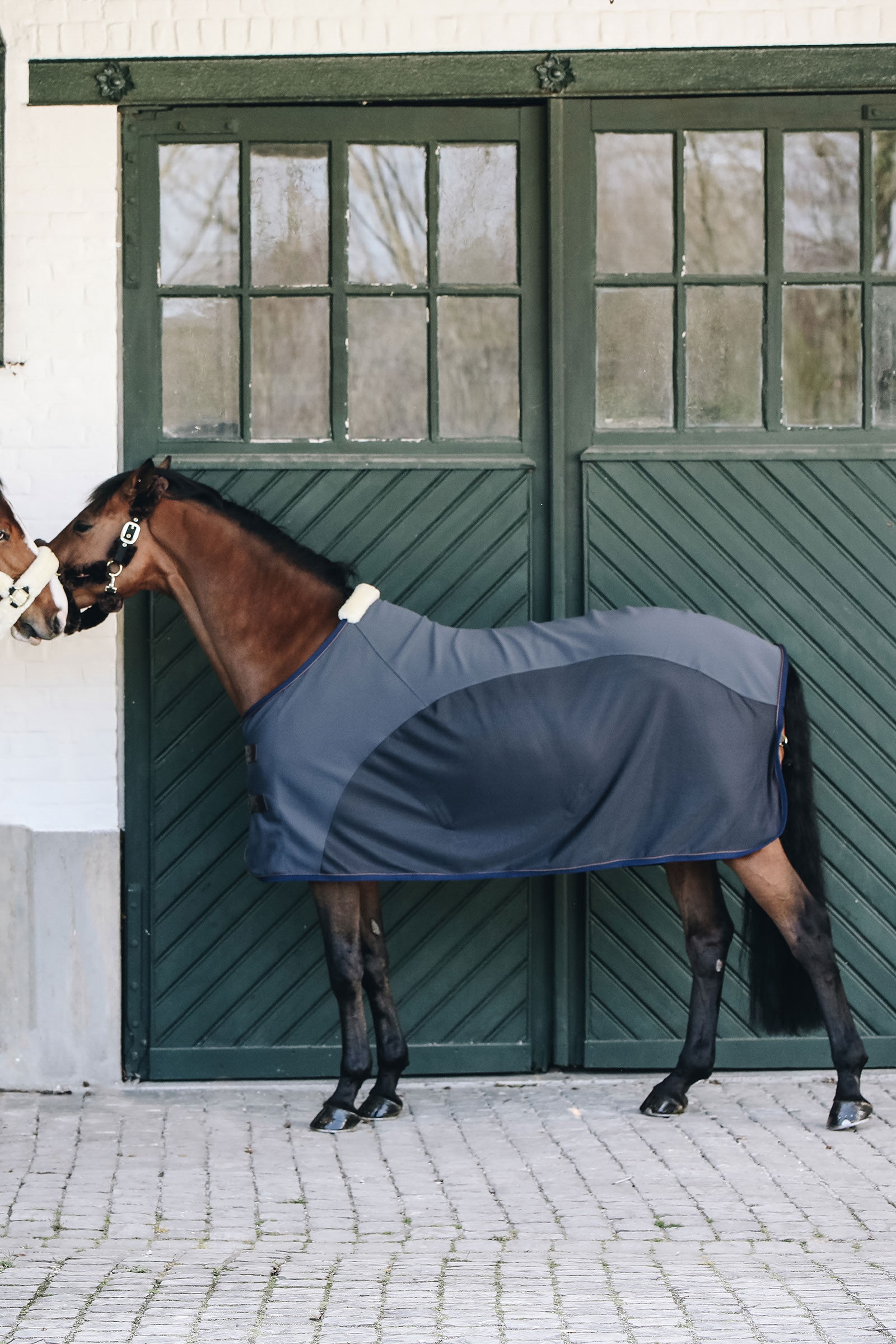Kentucky Horsewear Cooler softshell dekken