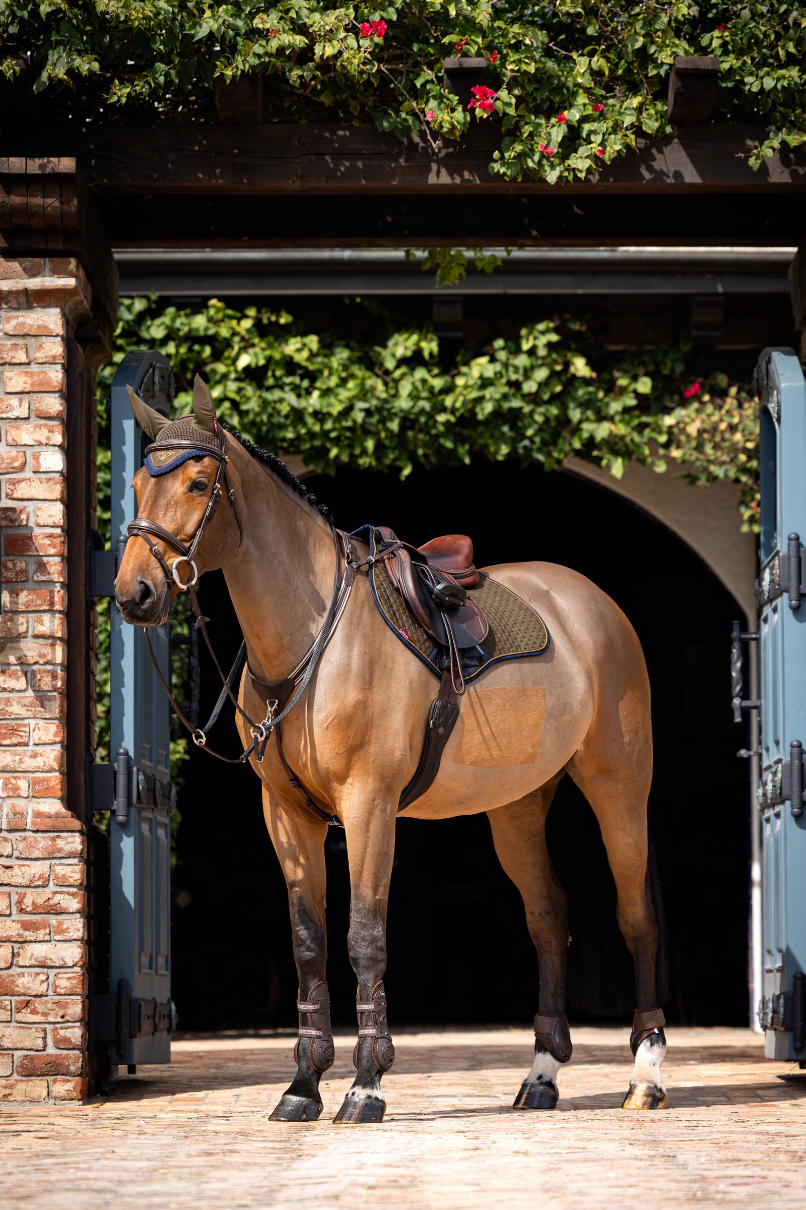 LeMieux Suede Square CC Sprangsjabrak