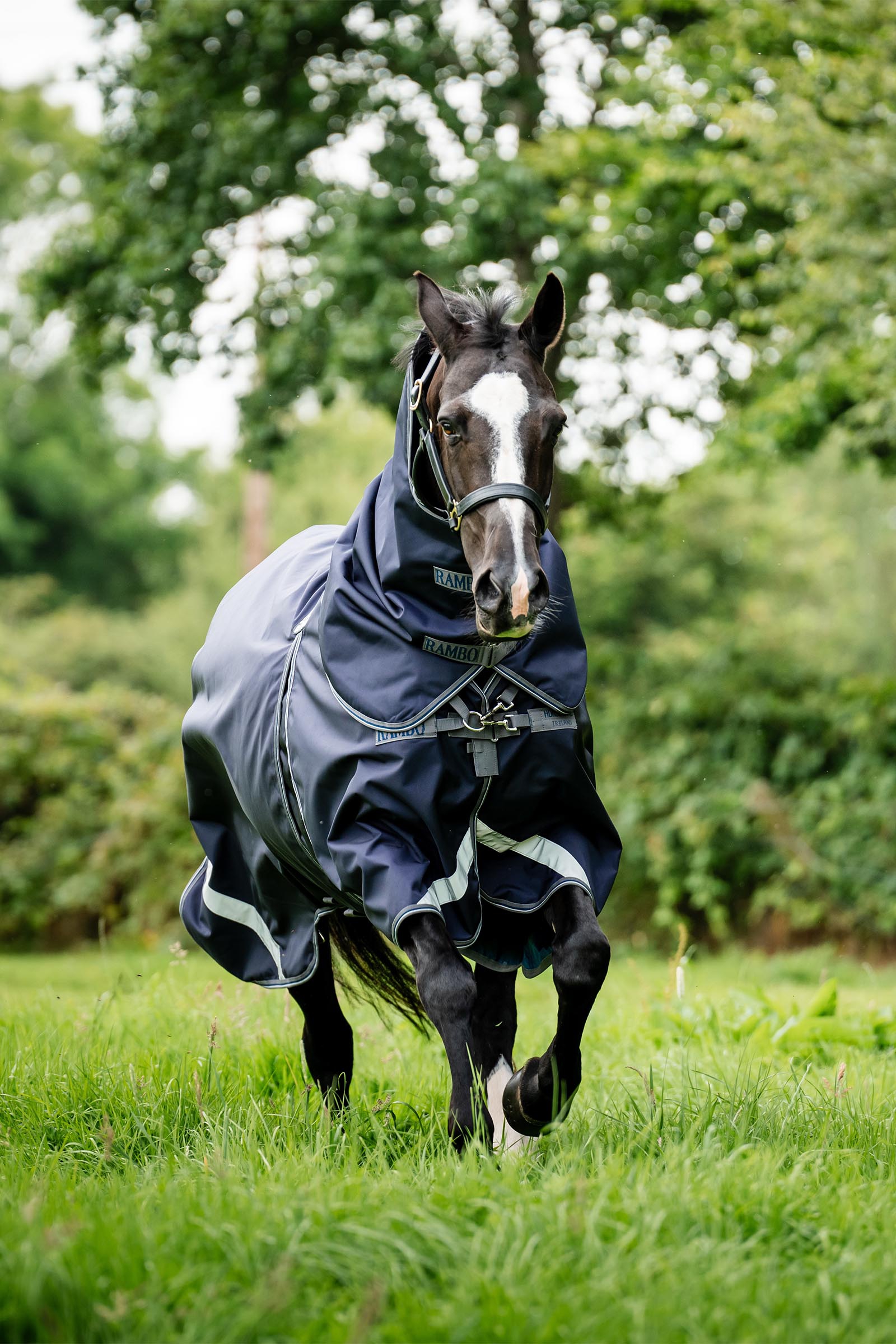 Horseware Rambo Optimo Plus Budle Beitedekken (med 200g Liner)
