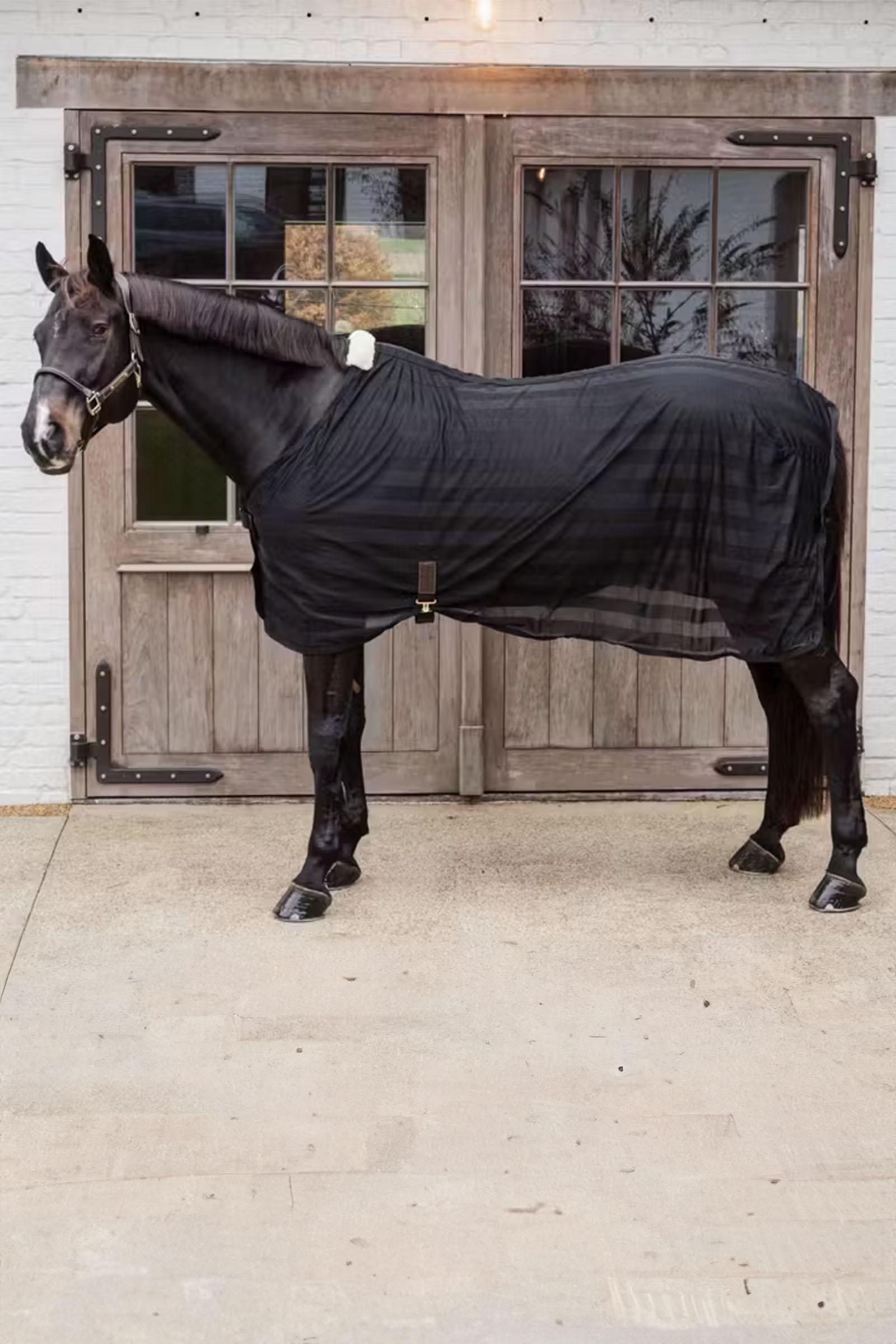 Kentucky Horsewear lett stripet flueteppe i mesh