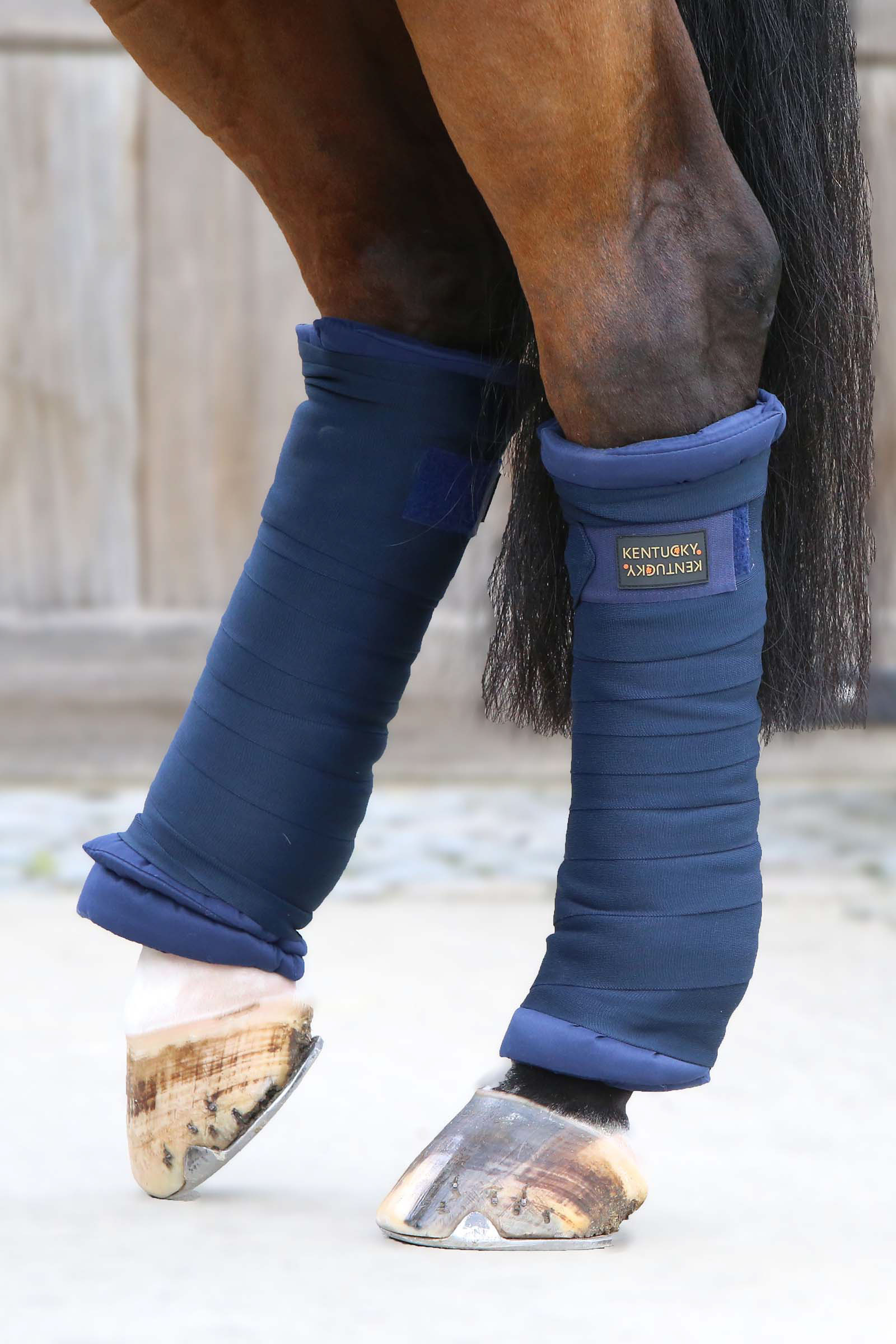 DB/AB Kentucky Horsewear vatterte bandasjeunderlag, sett med 4