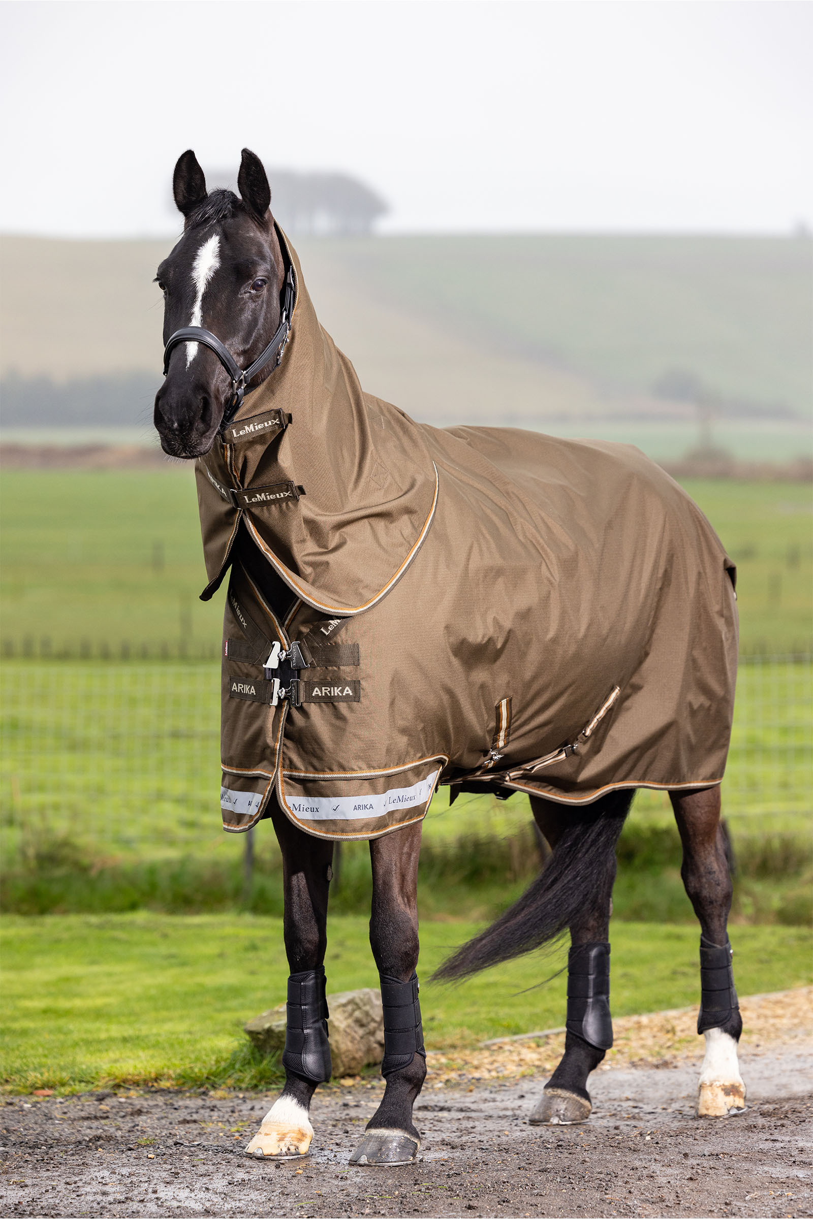LeMieux Arika Ripstop Turnout Rug With Detachable Neck, 200 g