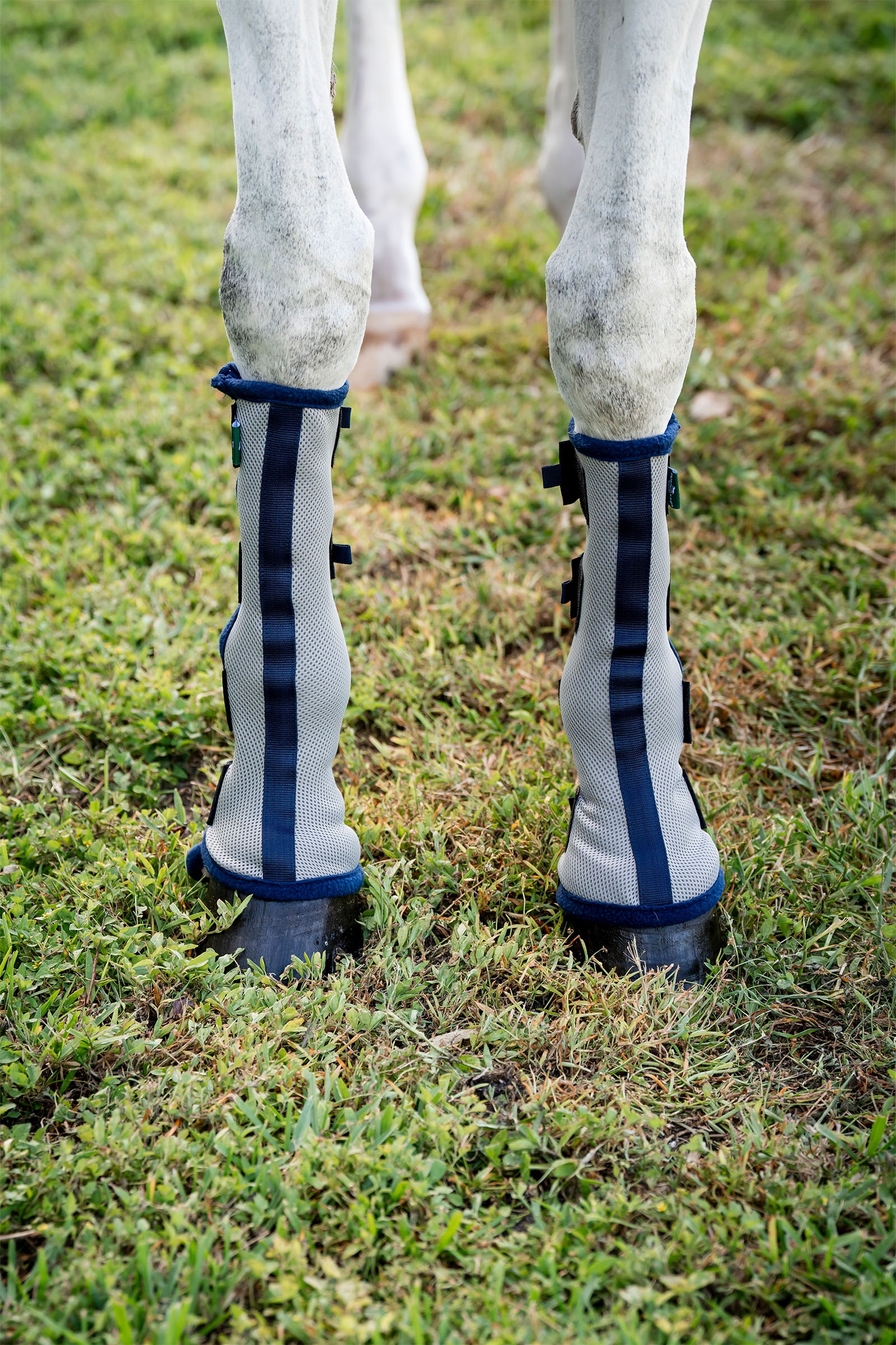 Horseware Fly Boots - sett med 2