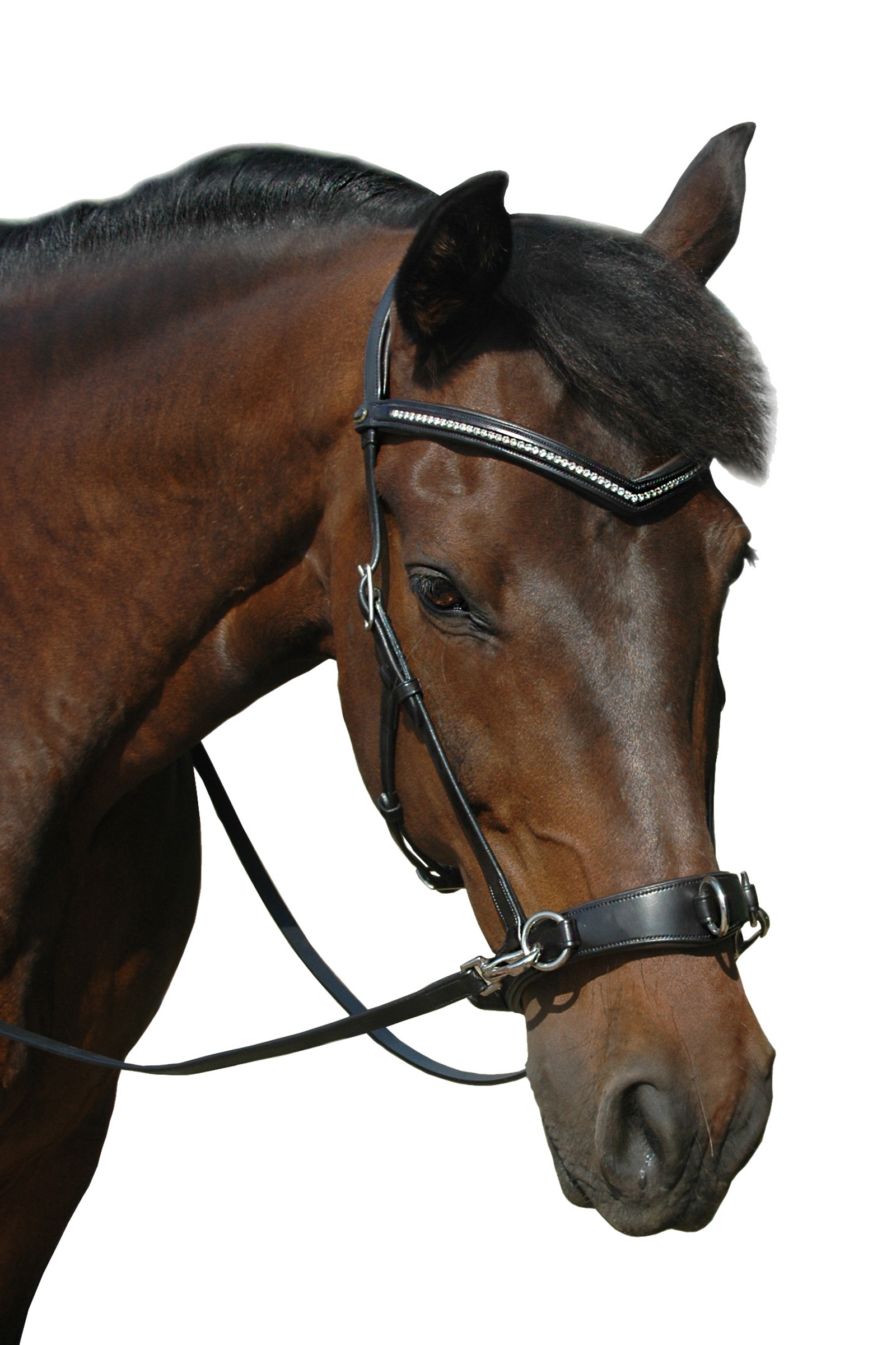 F.R.A. Freedom Riding Articles Wendy B kapsun, bitless bridle, lærtøyler med klips