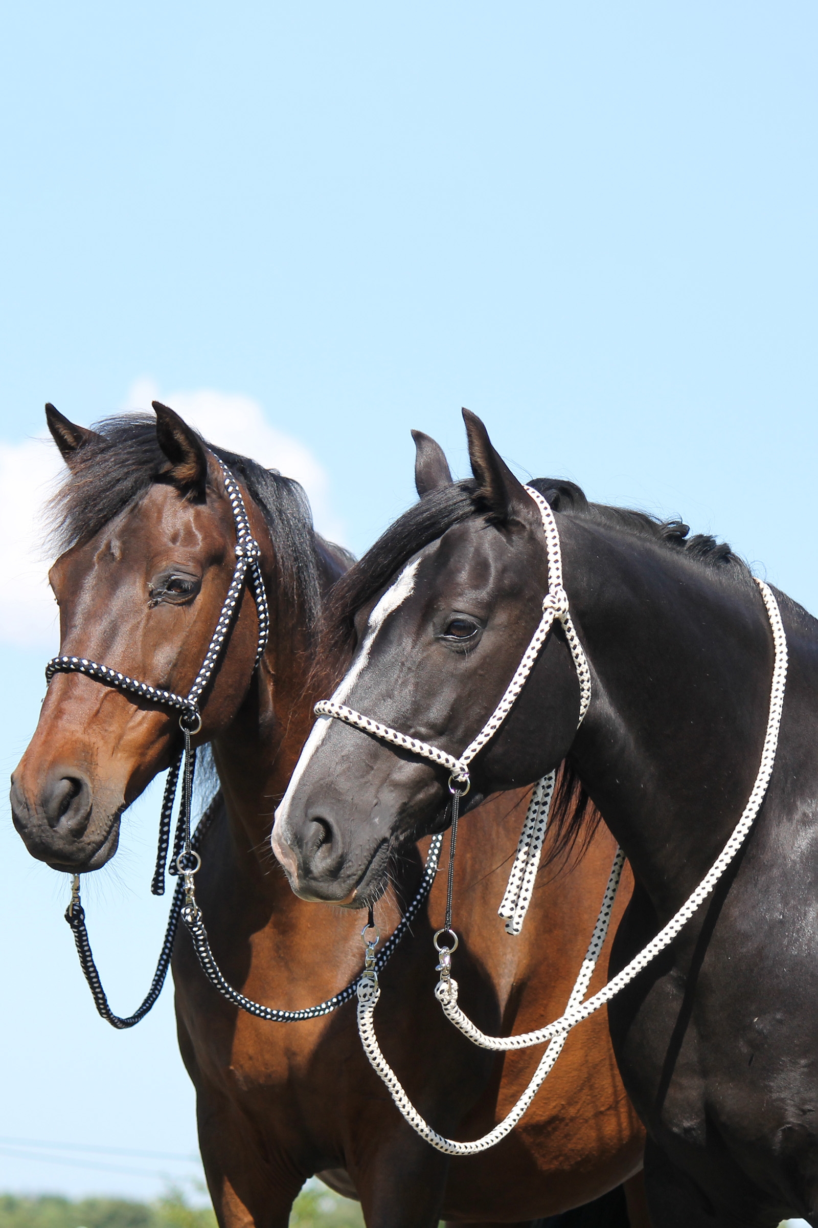 F.R.A. Freedom Riding Articles Nanouk bitless bridle (system 4) bomull med klipstøyler