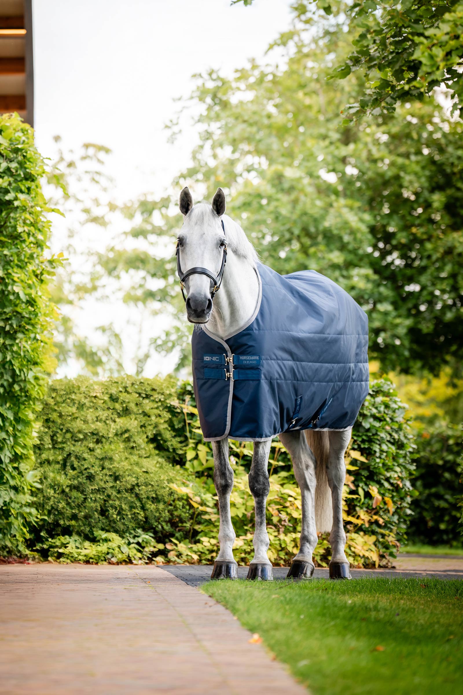 Horseware Ionic Therapy Stalldekken, 50g