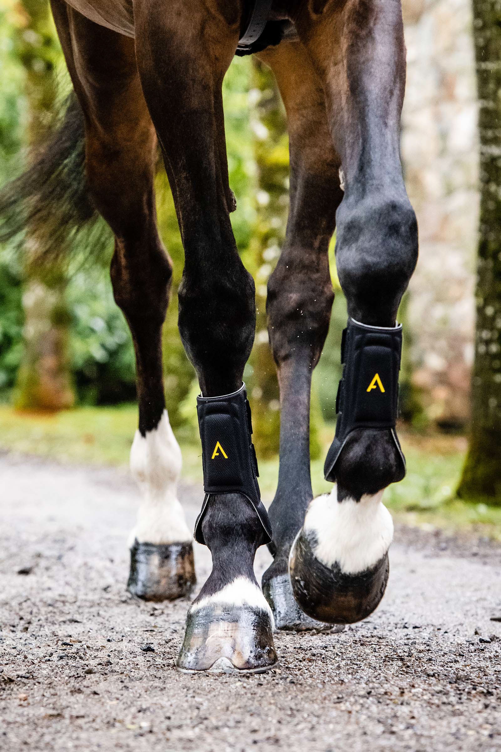 Horseware Adagio belegg