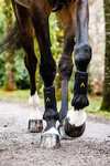 Horseware Adagio belegg