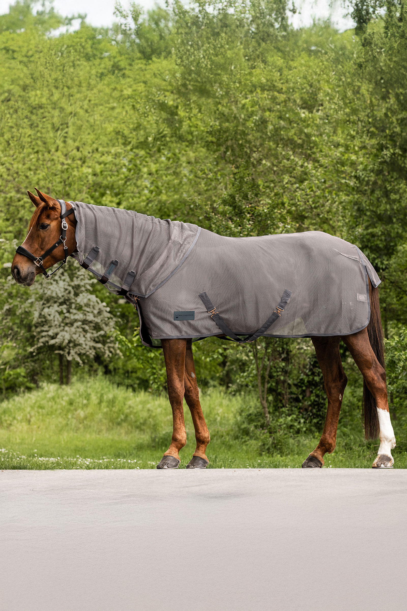 Waldhausen Comfort fluehalsbeskytter