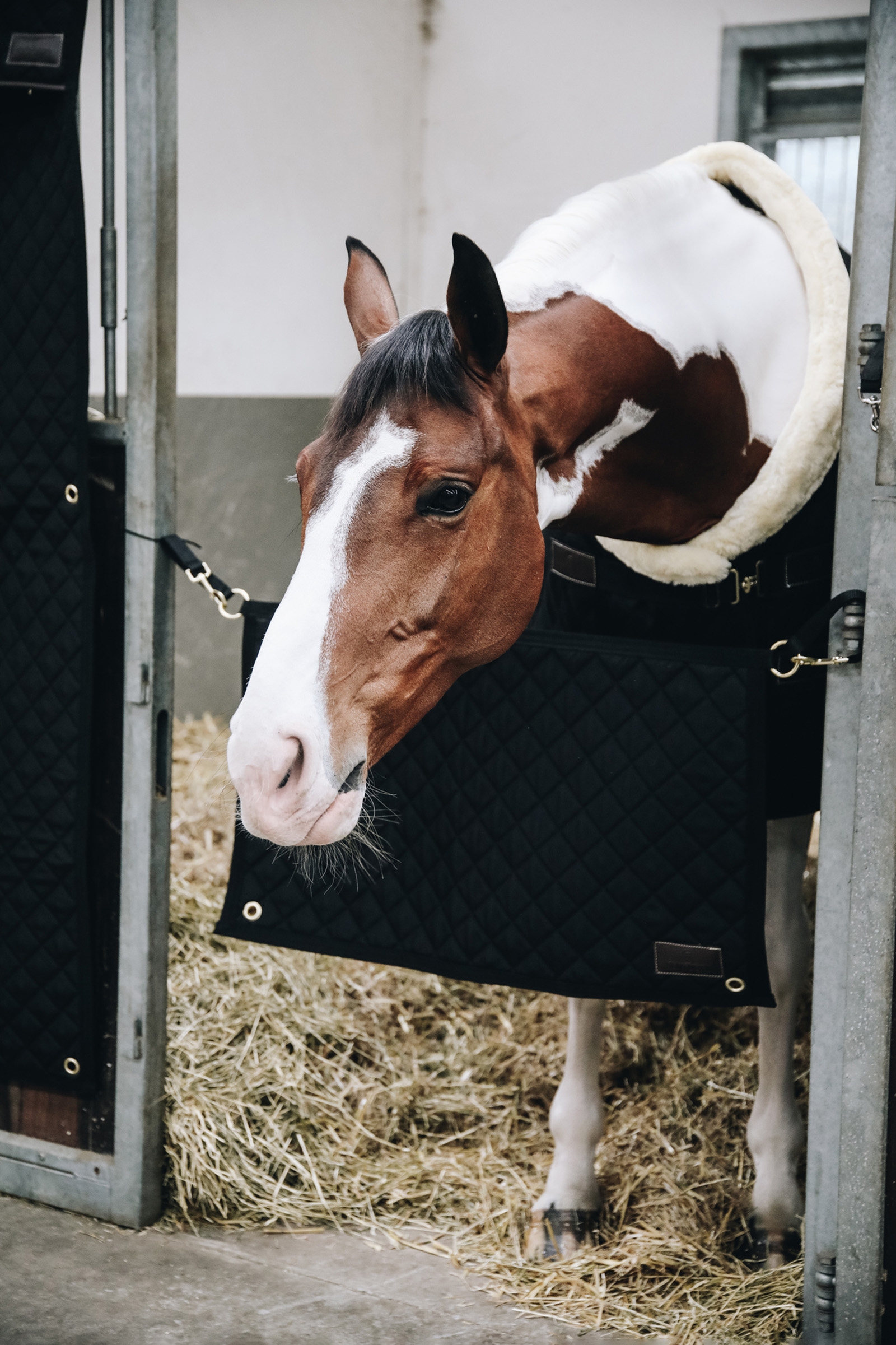 Kentucky Horsewear dørgardin