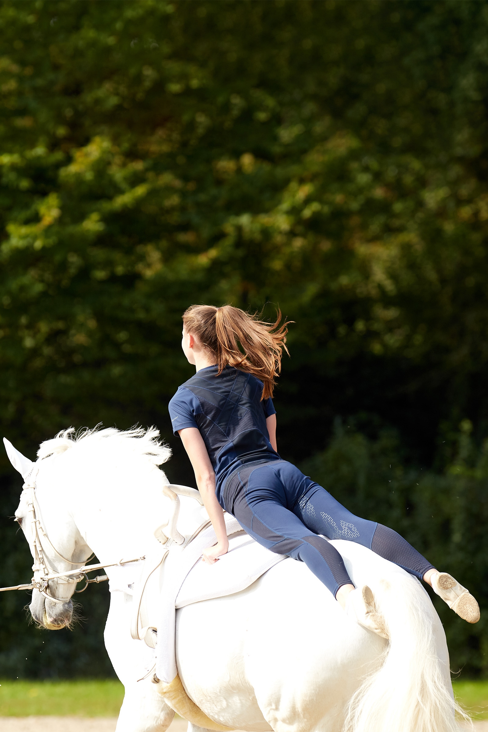 Ariat Ascent dames kneforsterkede ridetights