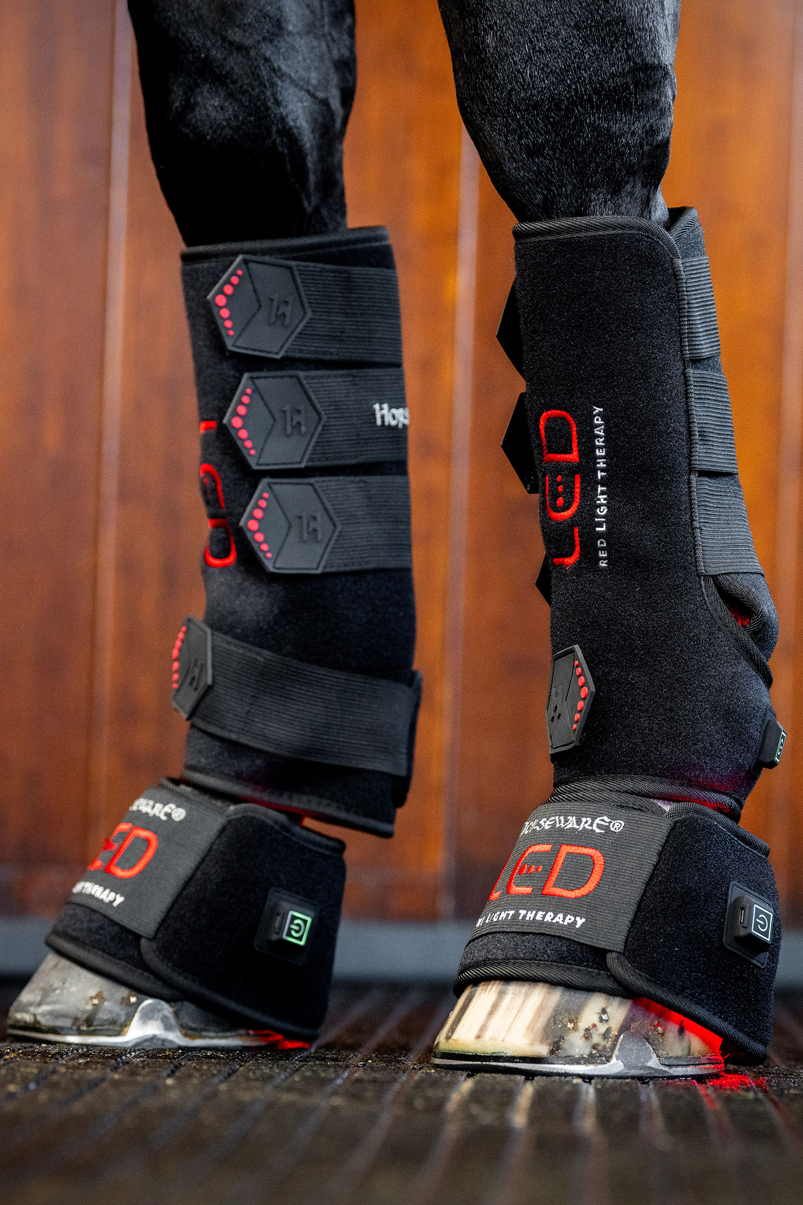 Horseware LED r&oslash;dt lys terapi belegg (1 stk.)