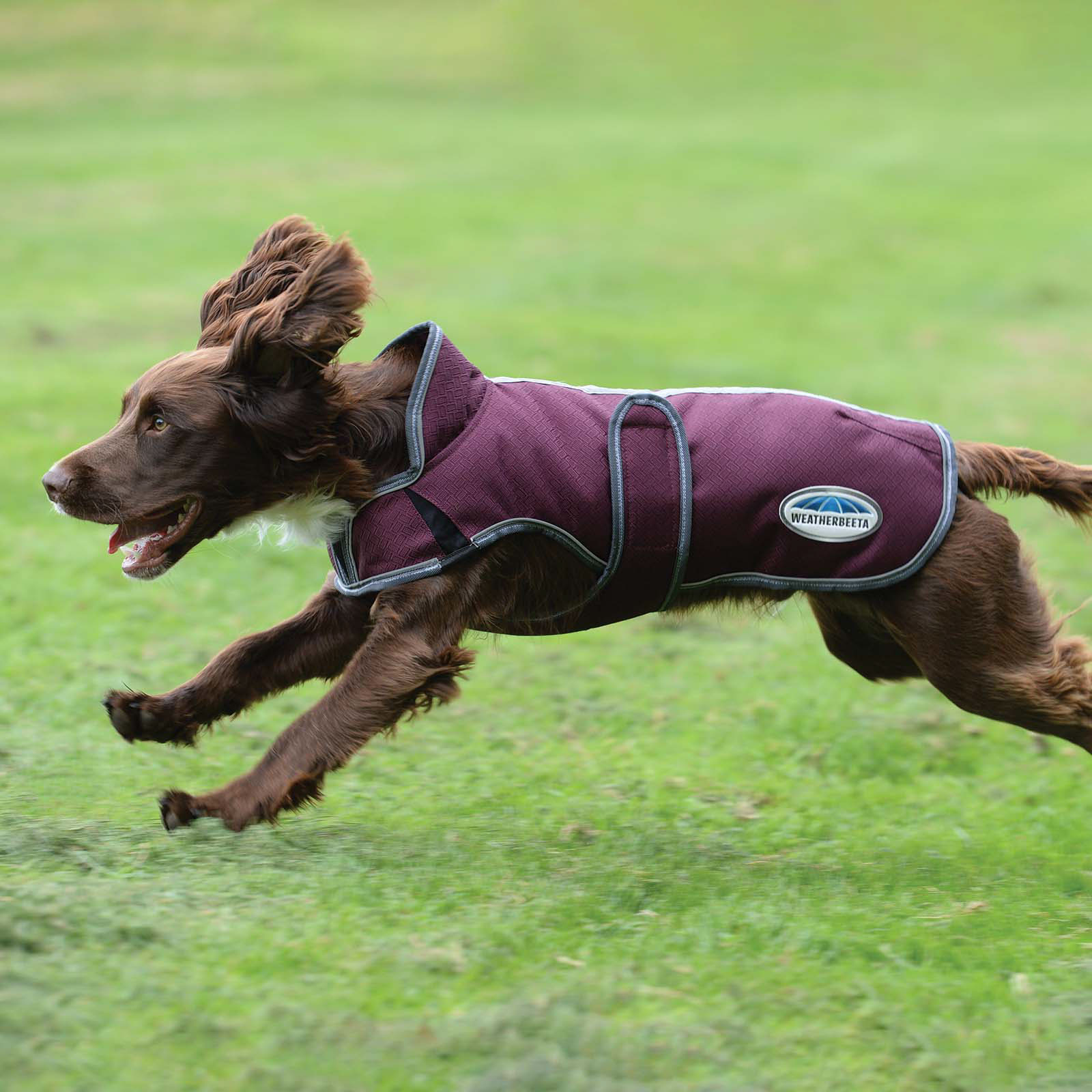 Weatherbeeta Comfitec Premier Free Parka Deluxe hundedekken, 220 gram