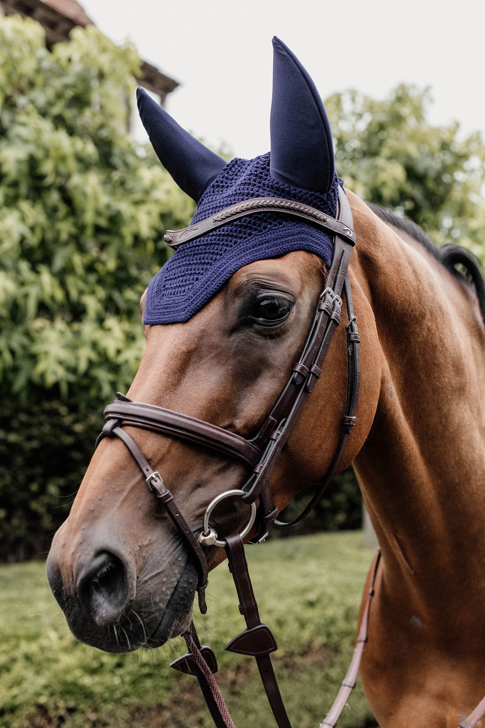 Dark Navy Kentucky Horsewear Wellington ørehette lydtett