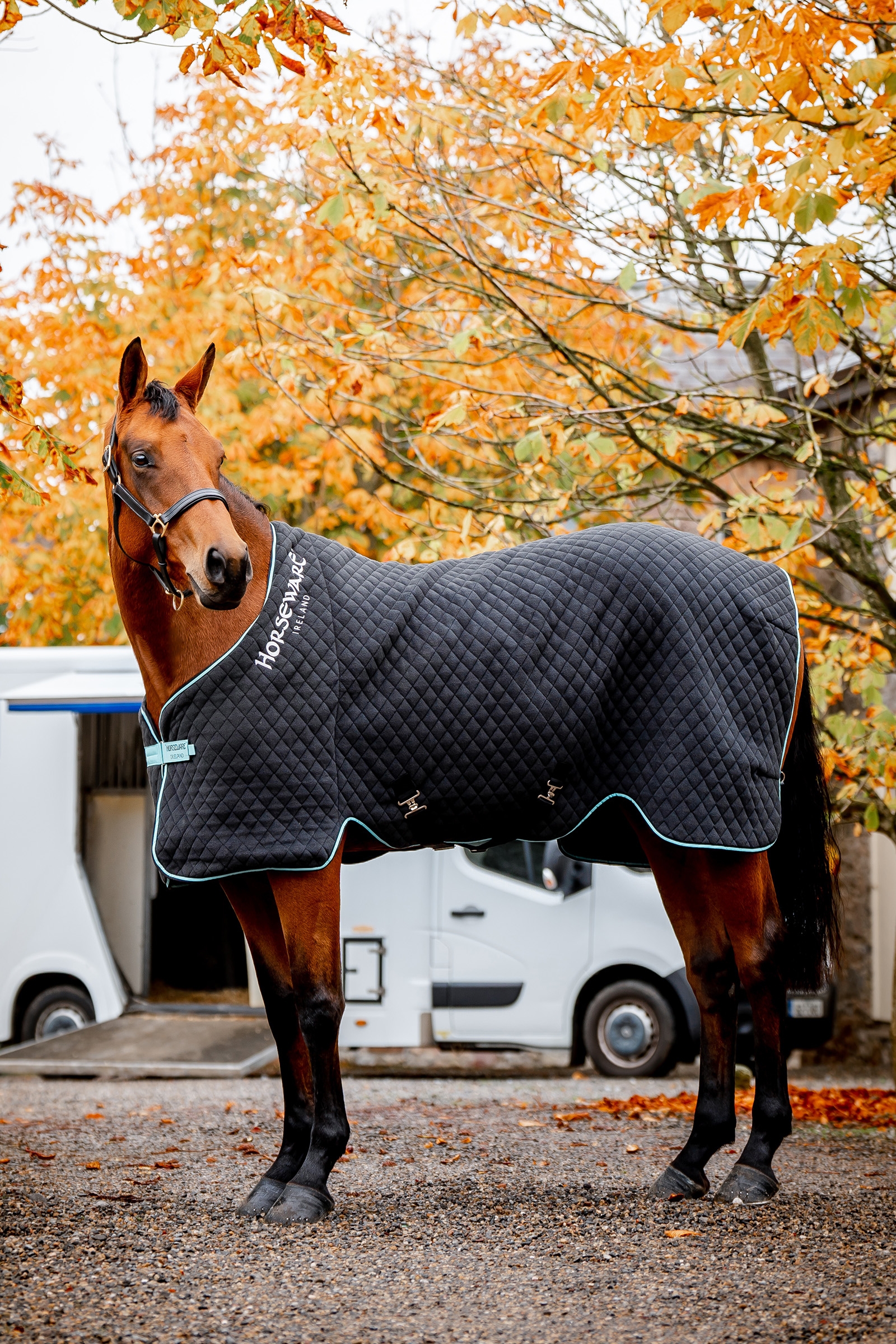 Horseware Autumn cooler