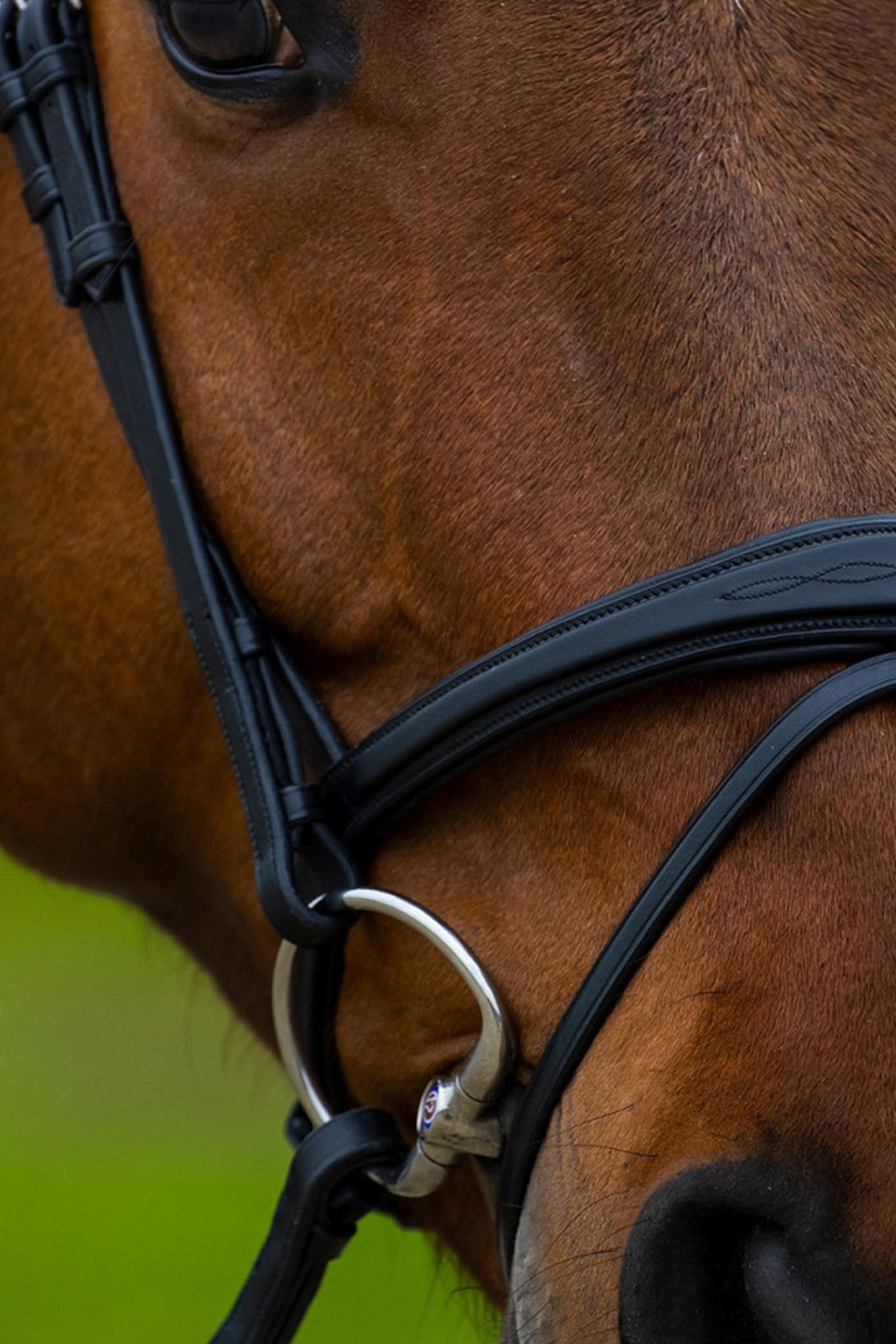 Trust Equestrian Amsterdam Combined Noseband Anatomic Bridle
