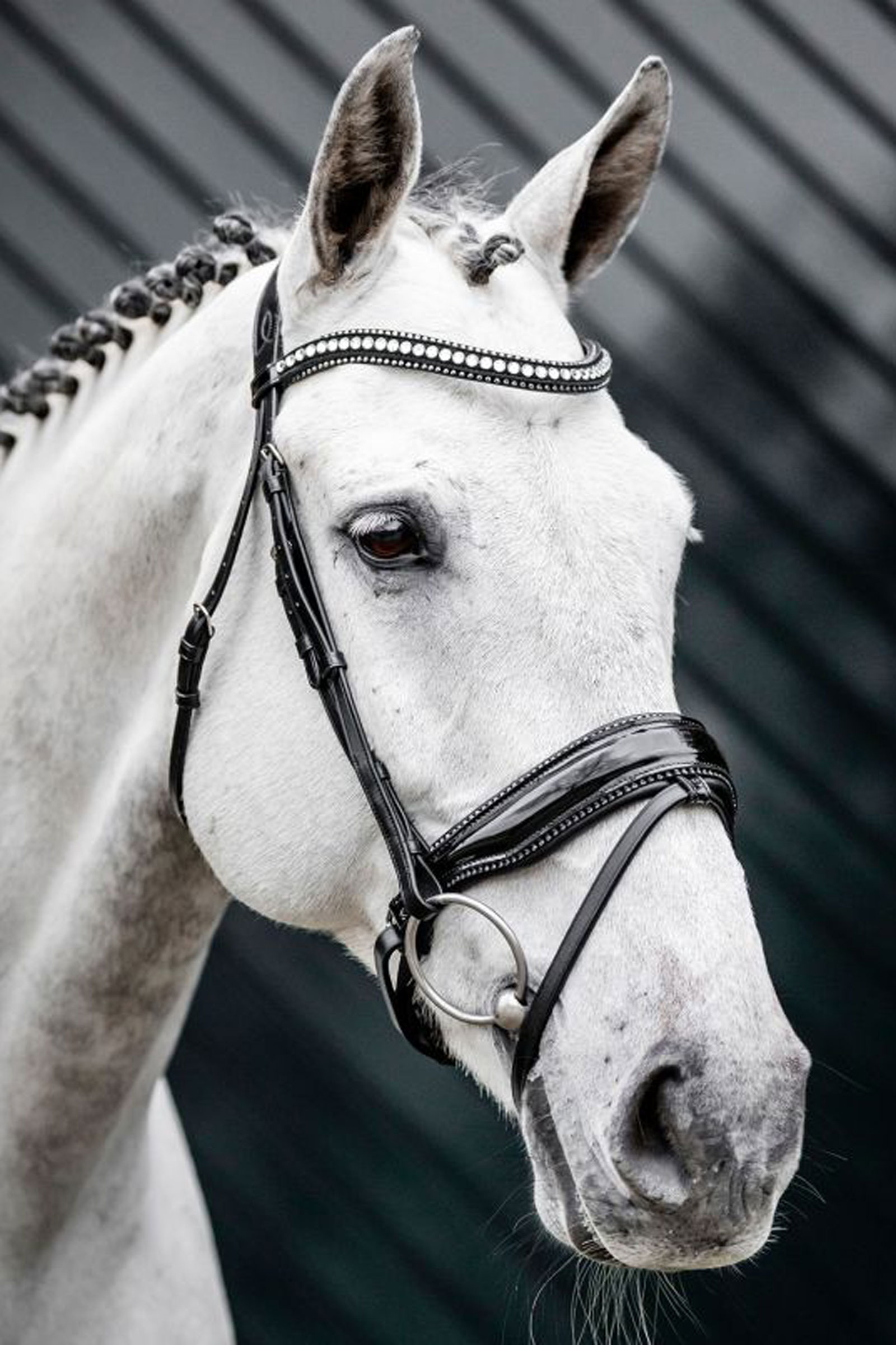 Horseware Diamante trinse med kombinert nesereim