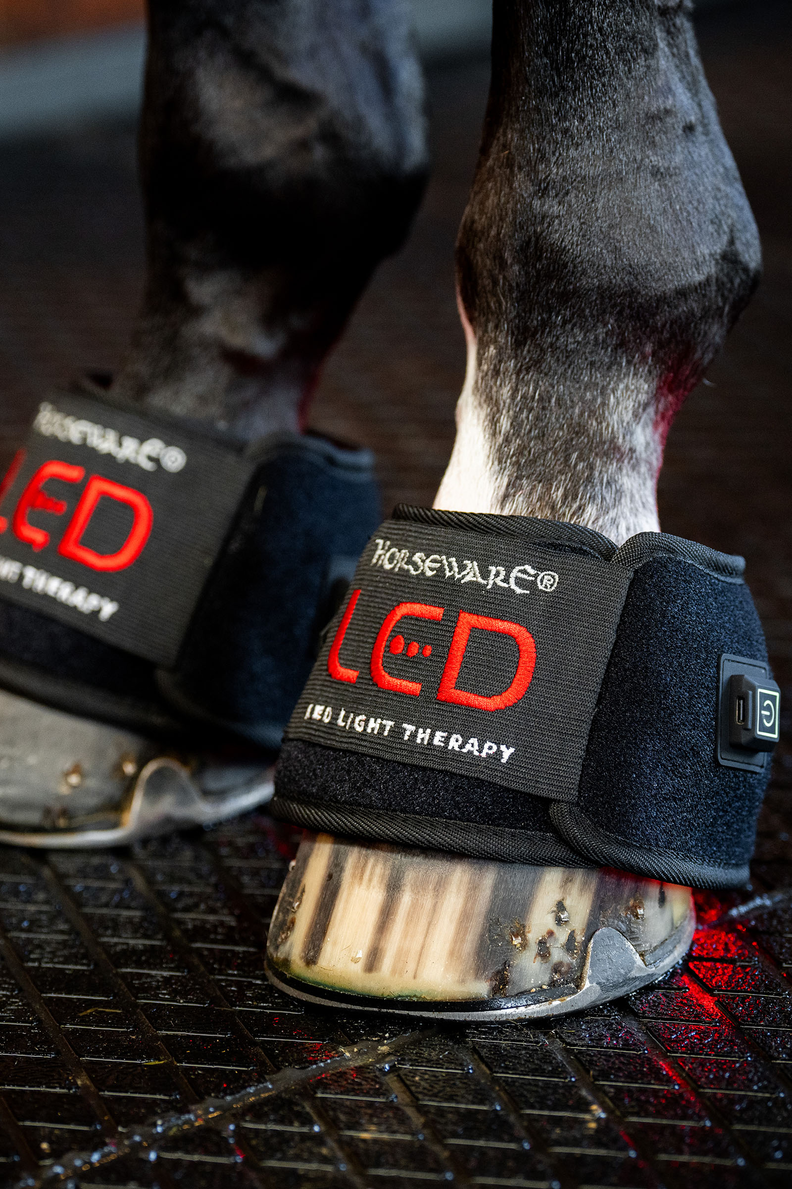 Horseware LED r&oslash;dt lys terapi mini belegg (1 stk.)
